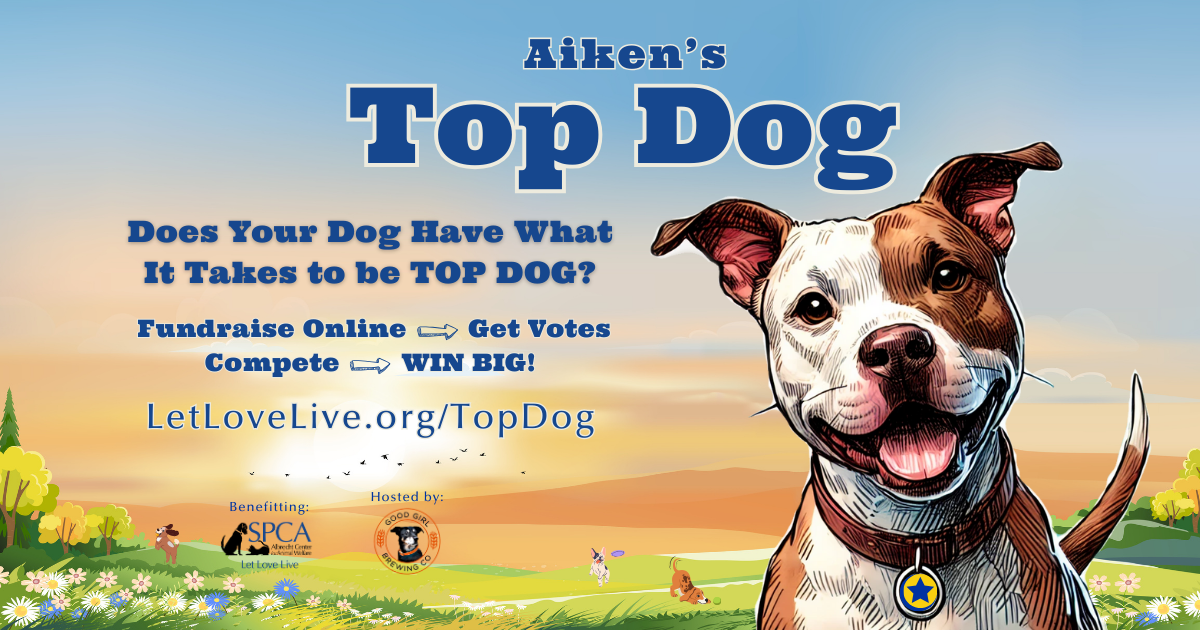 Campaign cover image for Aiken's Top Dog