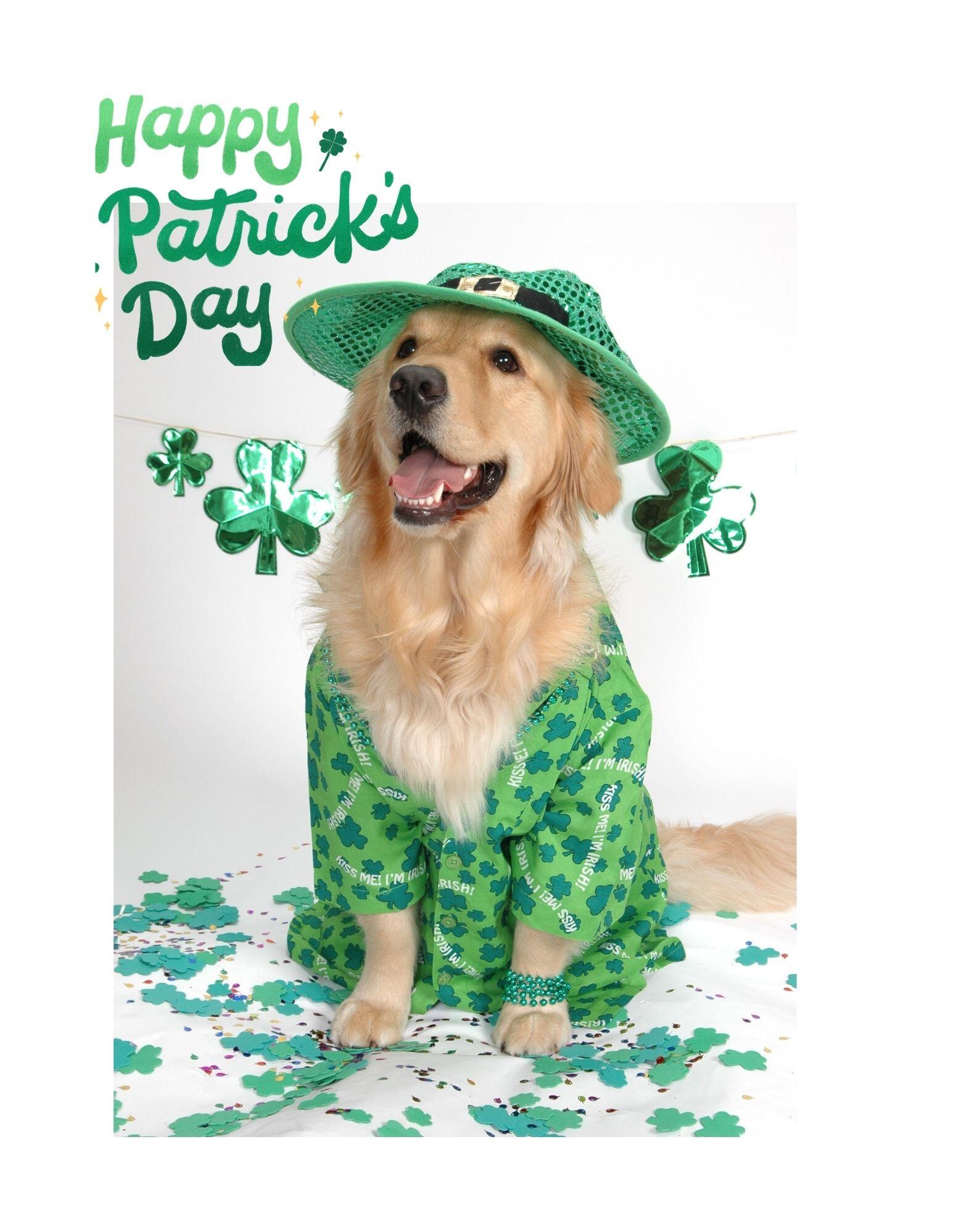 Campaign cover image for 🍀 Spokane Valley Teen & Young Adult Connect Group 🍀