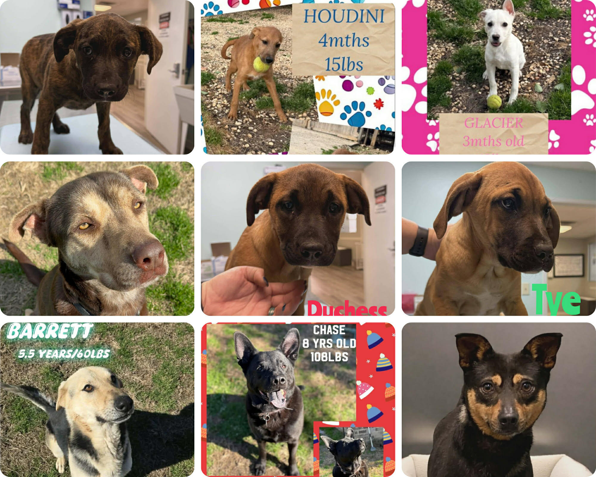 Campaign cover image for Mar, 6 2026 Transport