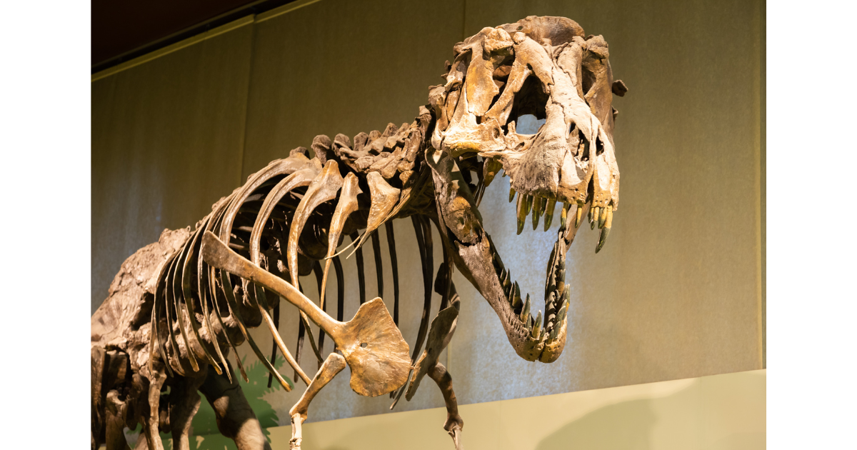 Campaign cover image for Dino Day