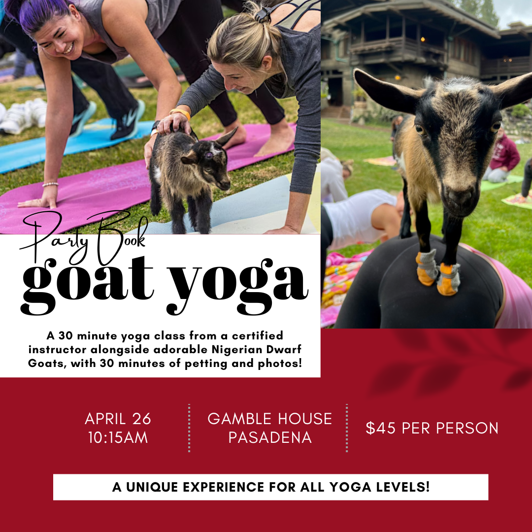 Campaign cover image for Goat Yoga