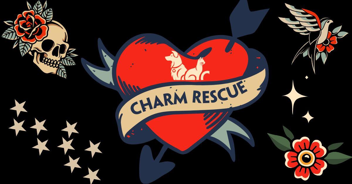 Campaign cover image for ⚡️ Tattoos for Tails