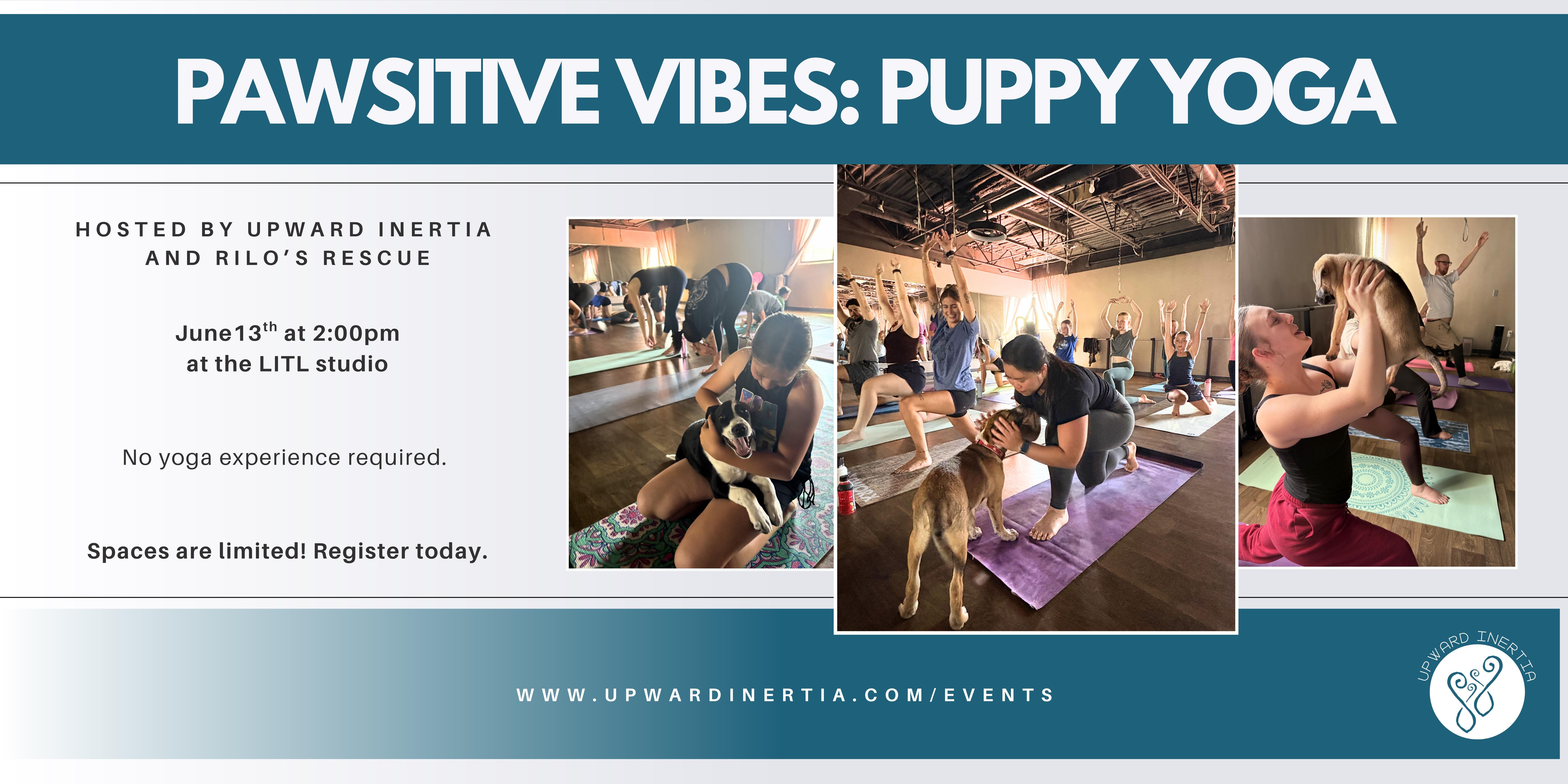 Campaign cover image for Pawsitive Vibes: Puppy Yoga with Upward Inertia and Rilo's Rescue