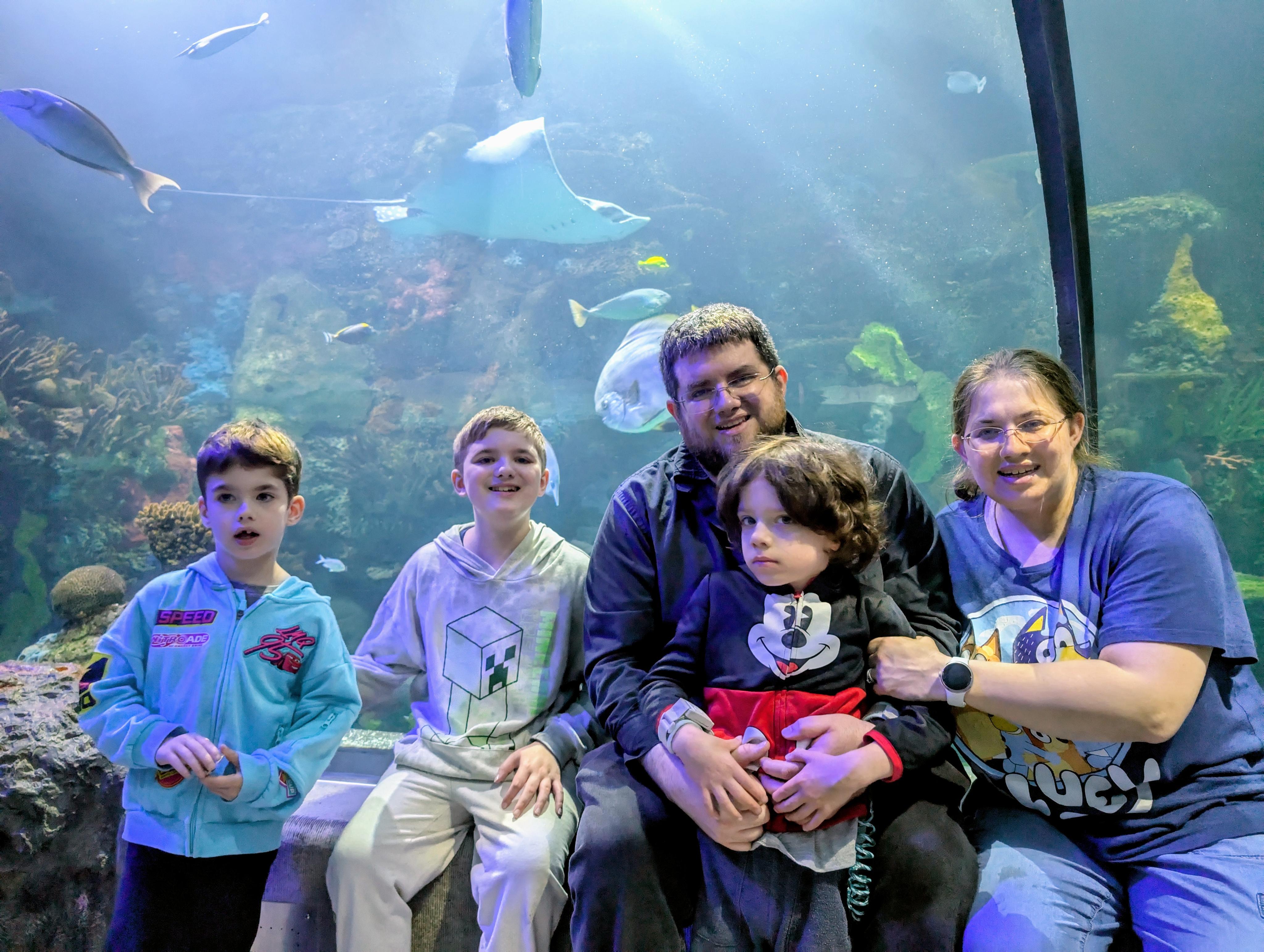 Campaign cover image for An Adaptive Bike for Daniel