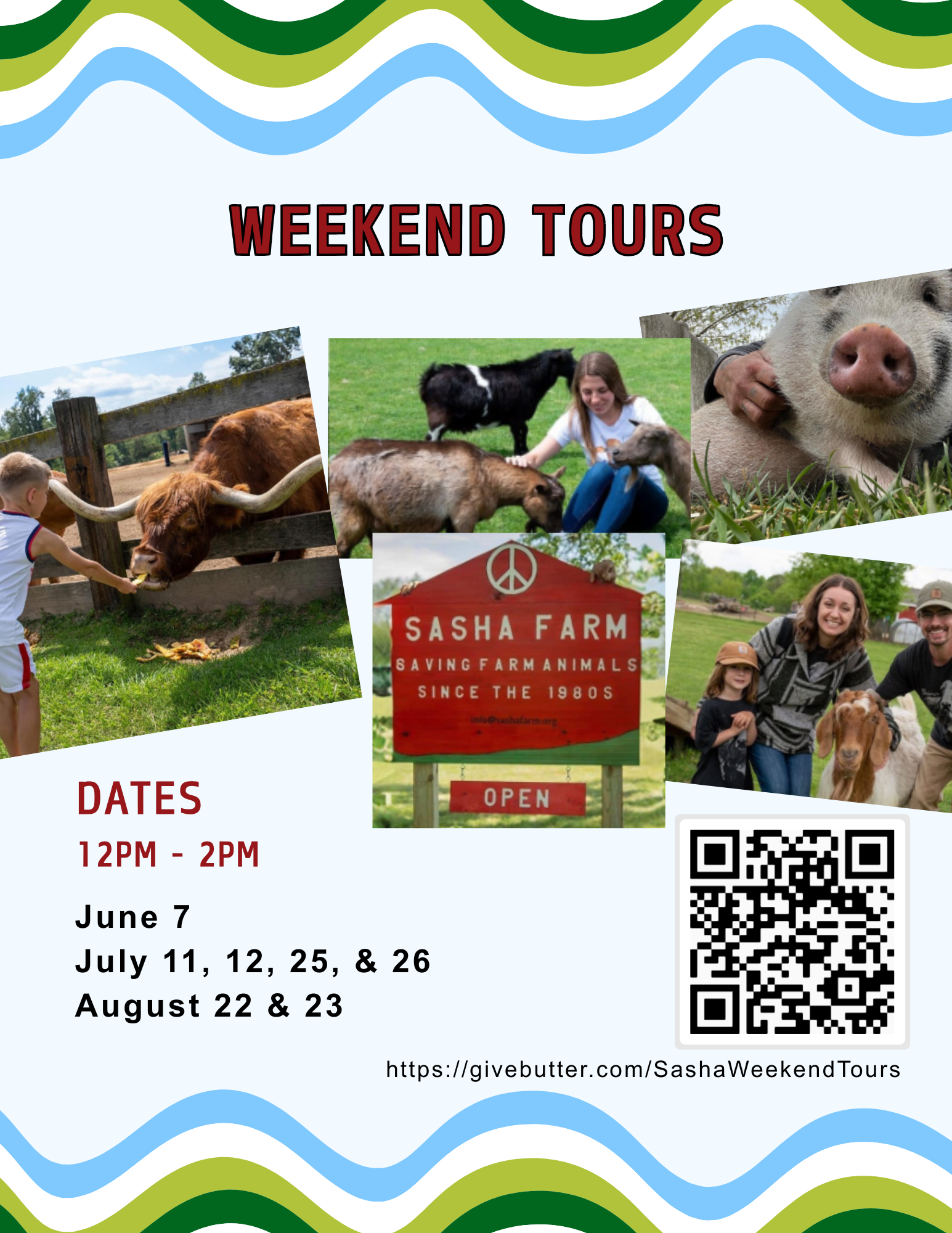 Campaign cover image for WEEKEND TOURS