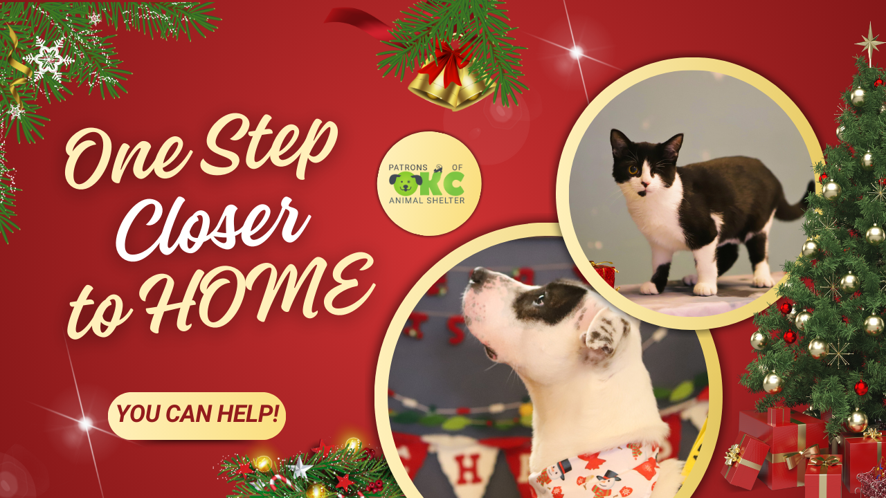 Campaign cover image for One Step Closer To HOME