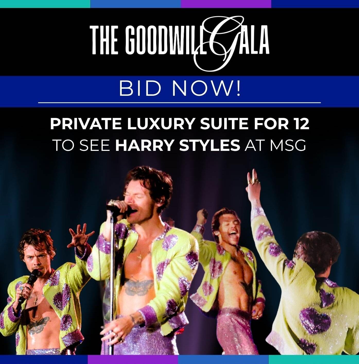 Campaign cover image for 2026 Goodwill Gala--Harry Styles Auction