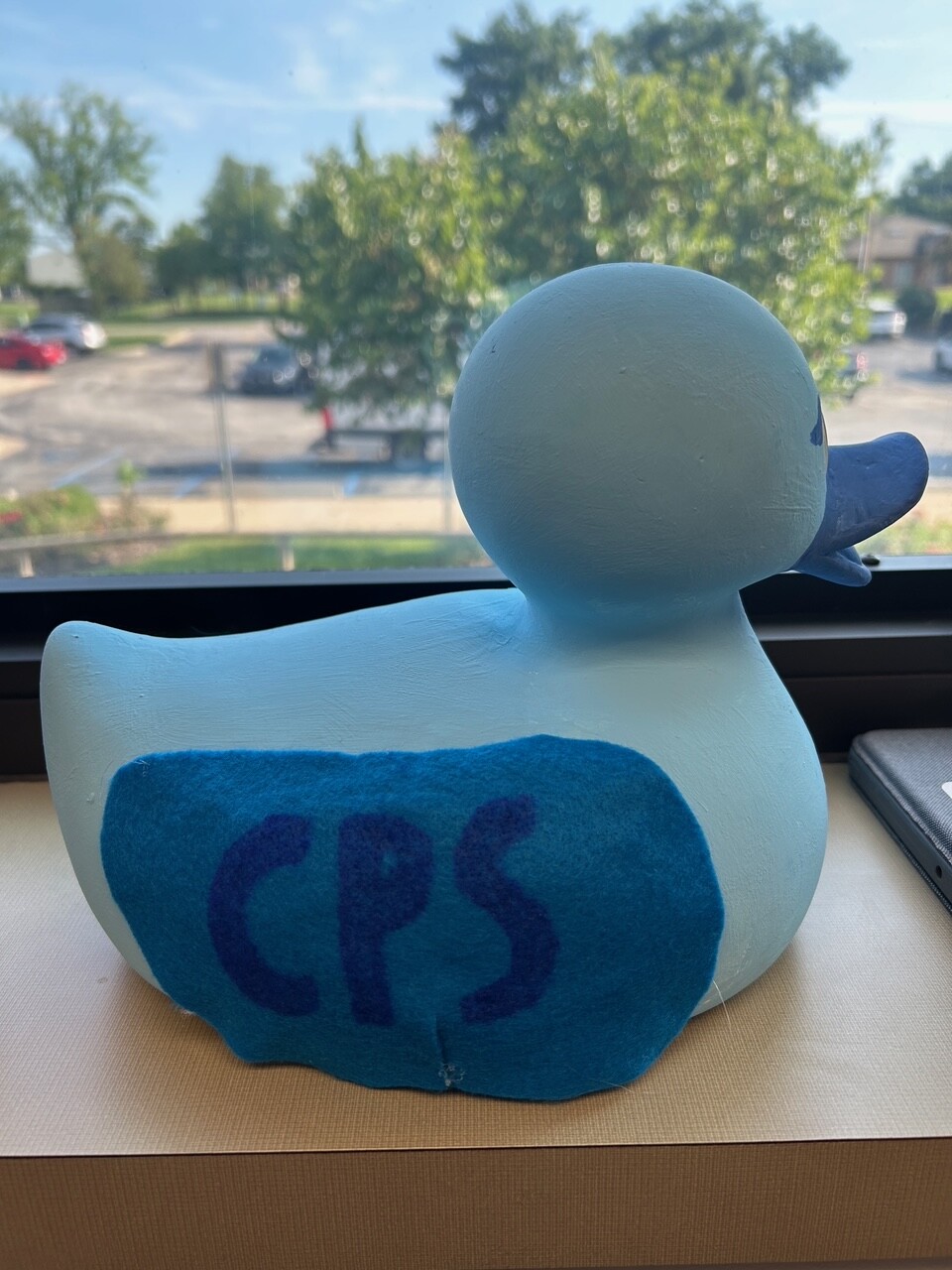 Campaign cover image for CPS DUCK-orating Page