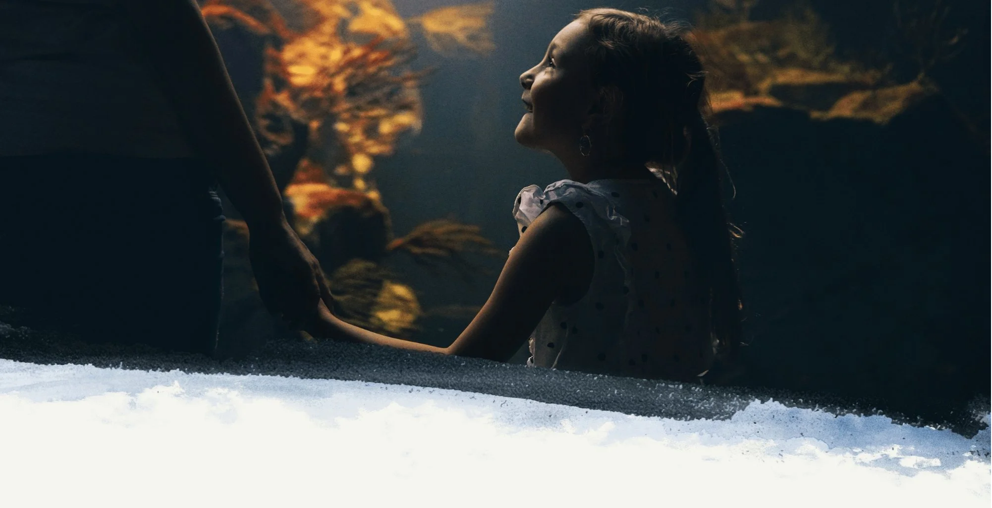 Campaign cover image for HOPE IS IN THE WATER