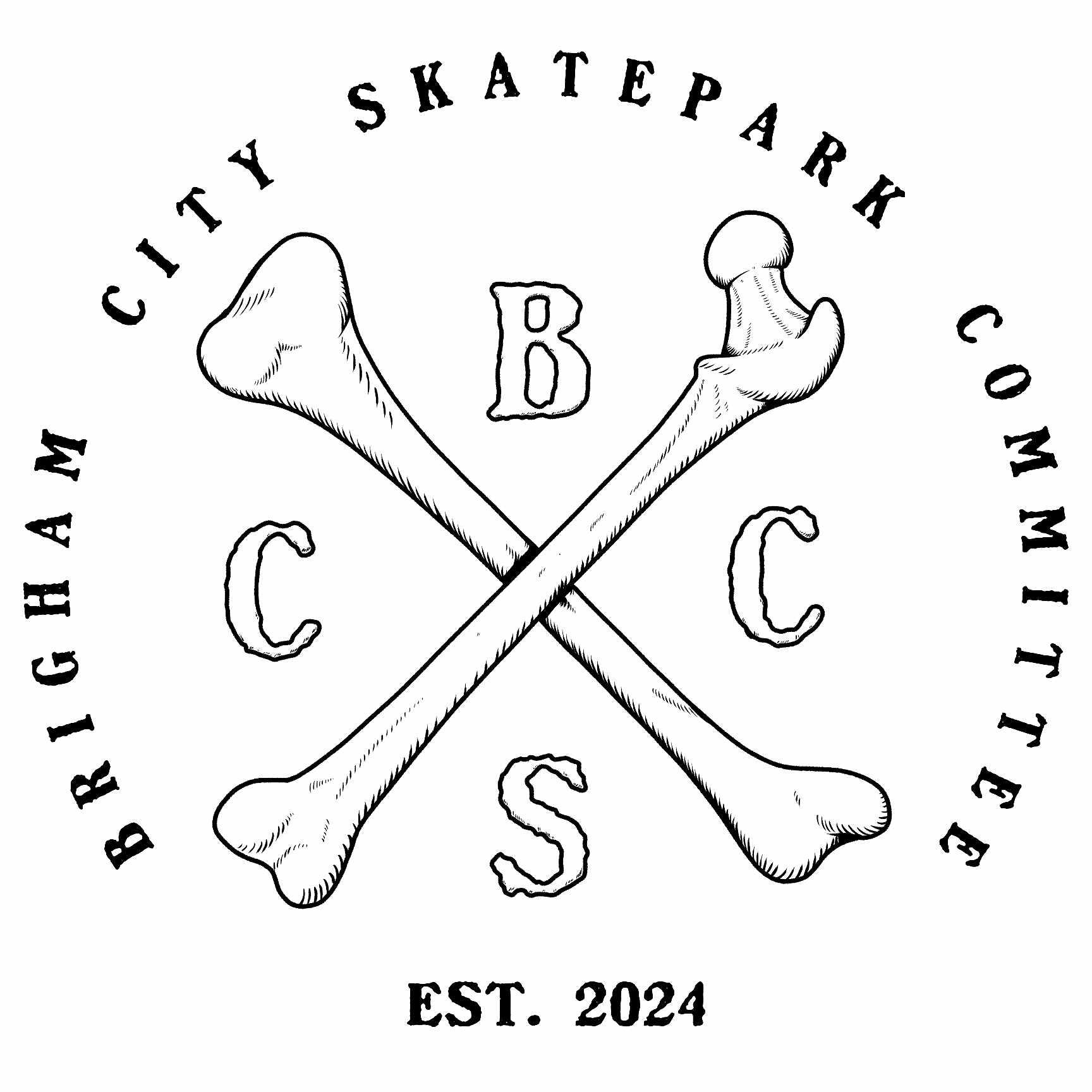 Campaign cover image for Brigham City Skatepark