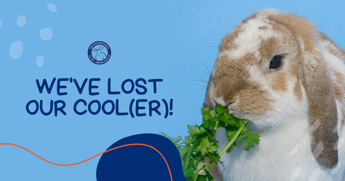 Campaign cover image for We've Lost Our Cool(er)!