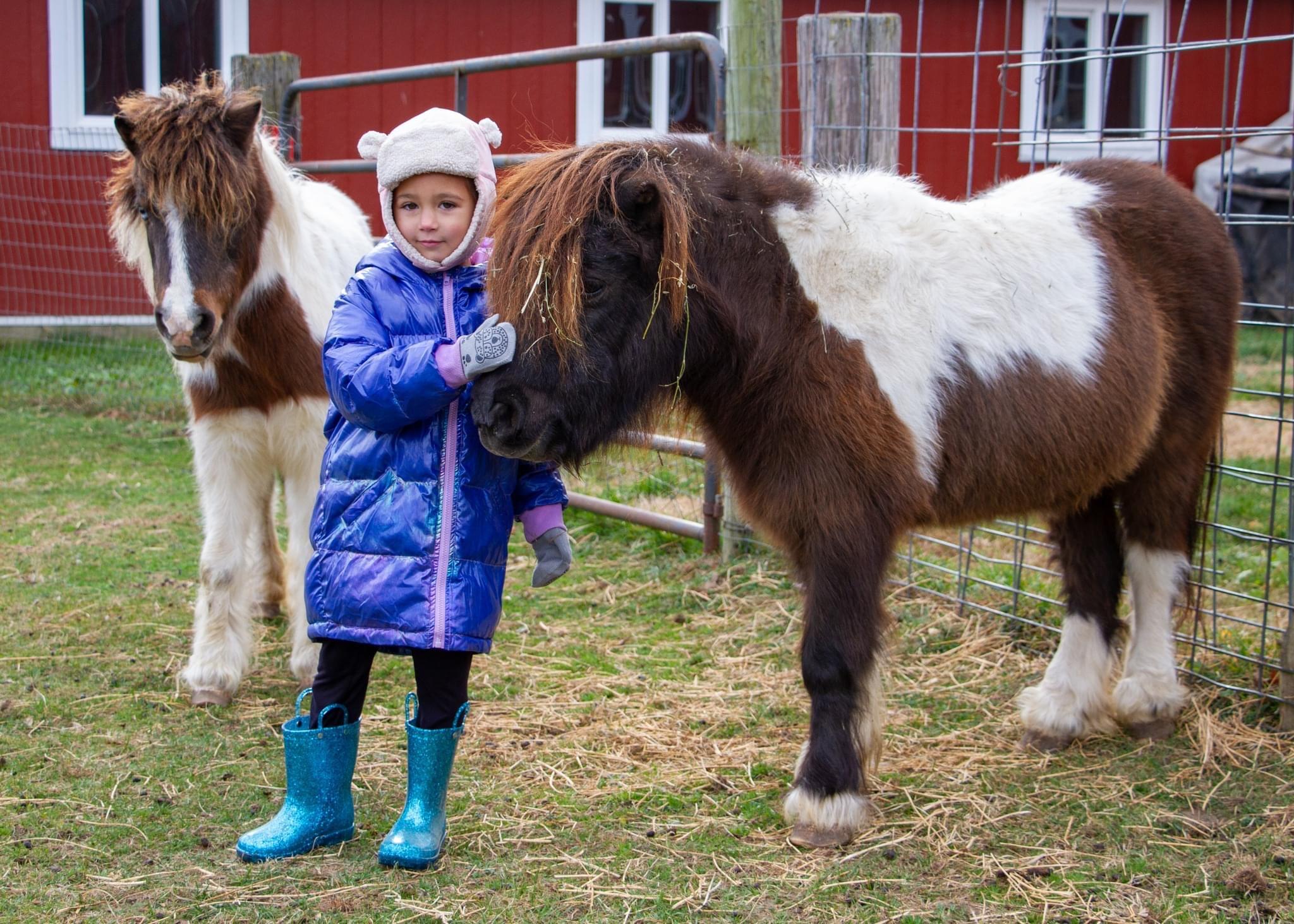 Campaign cover image for DONATE