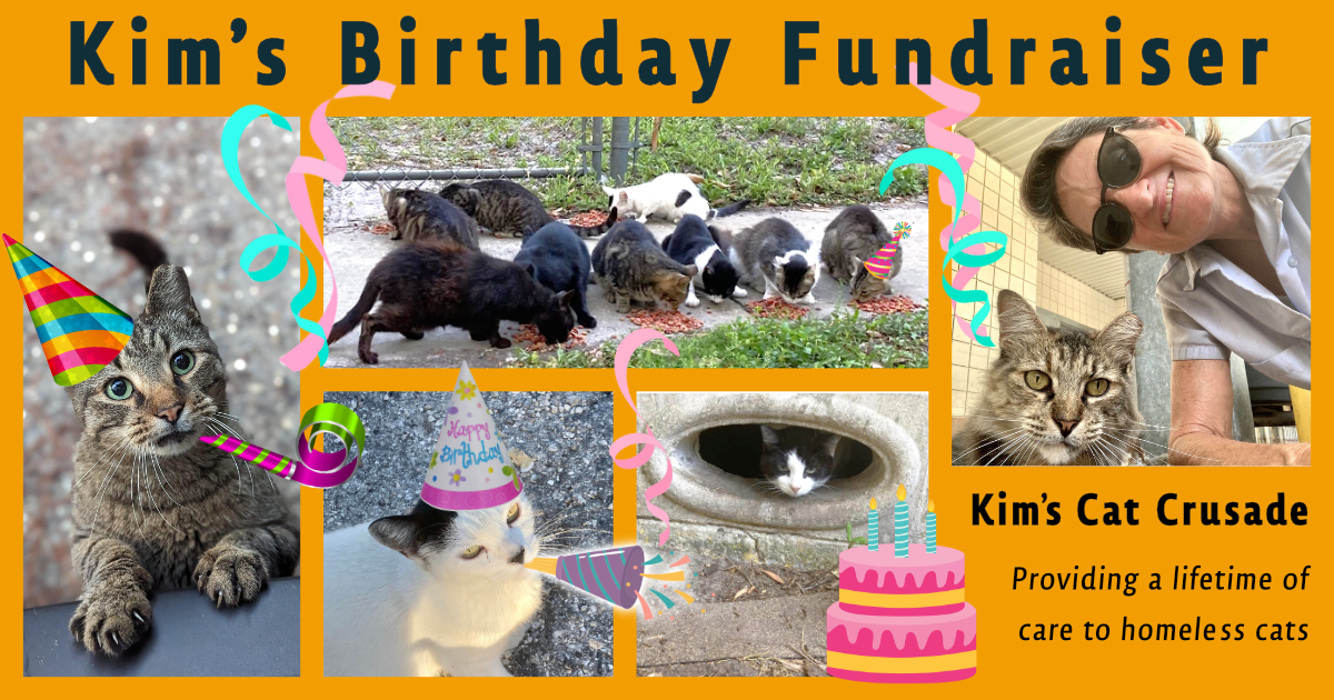 Campaign cover image for Kim's Birthday Fundraiser