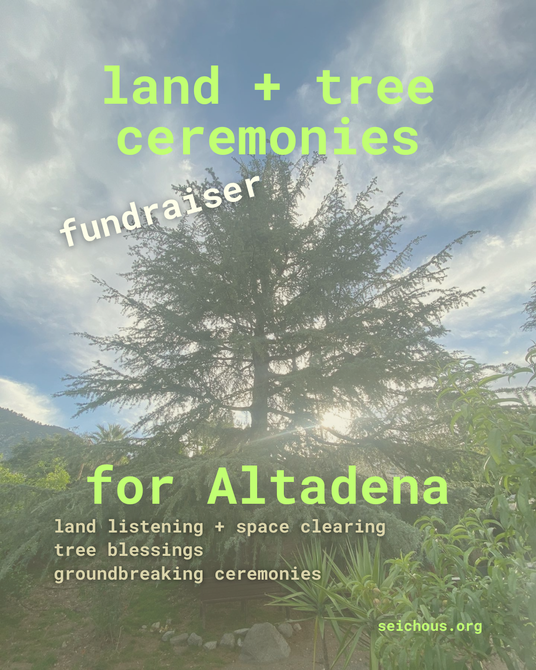 Campaign cover image for Land + Tree Ceremonies for Altadena