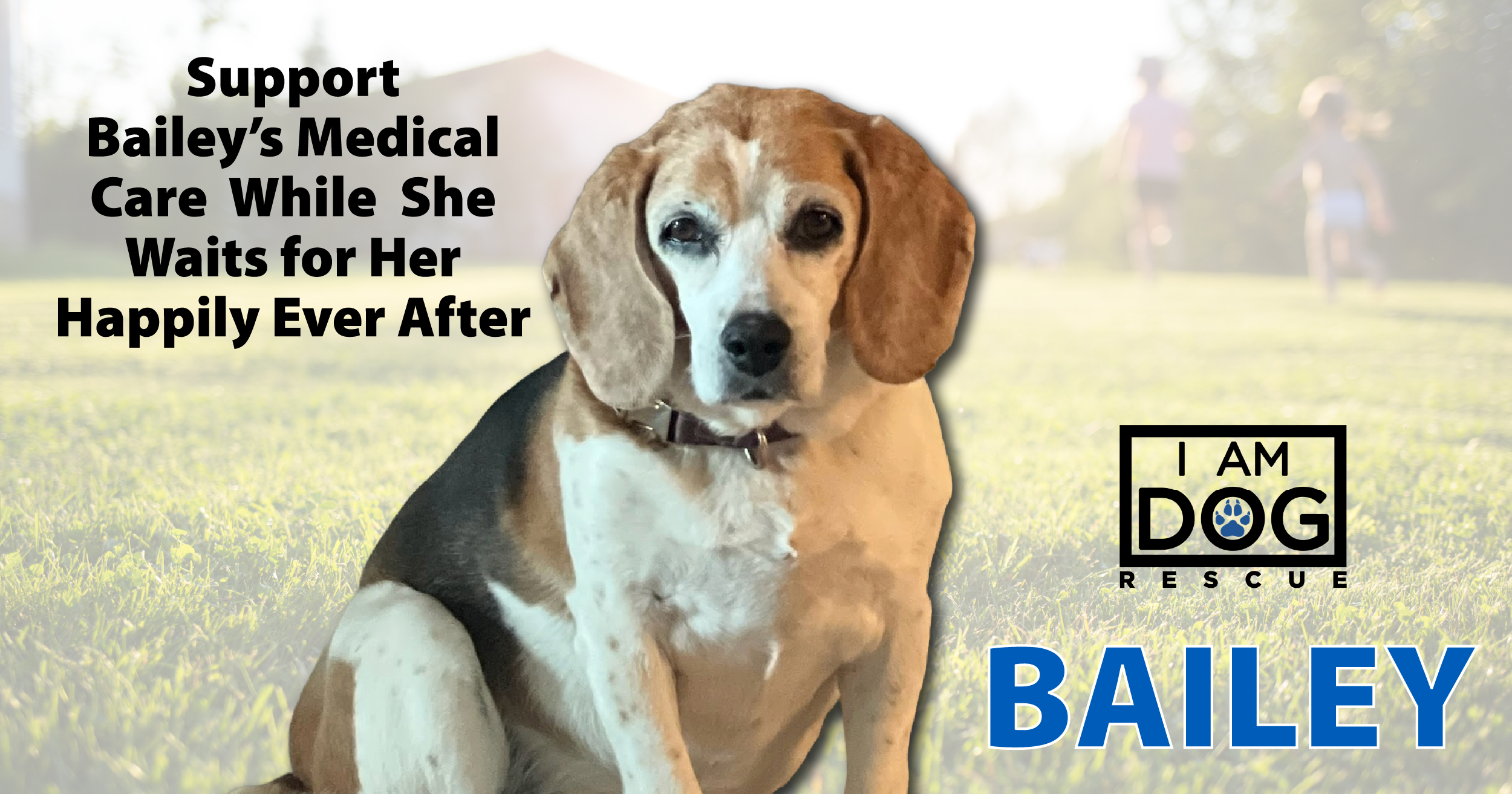 Campaign cover image for Donate for Bailey