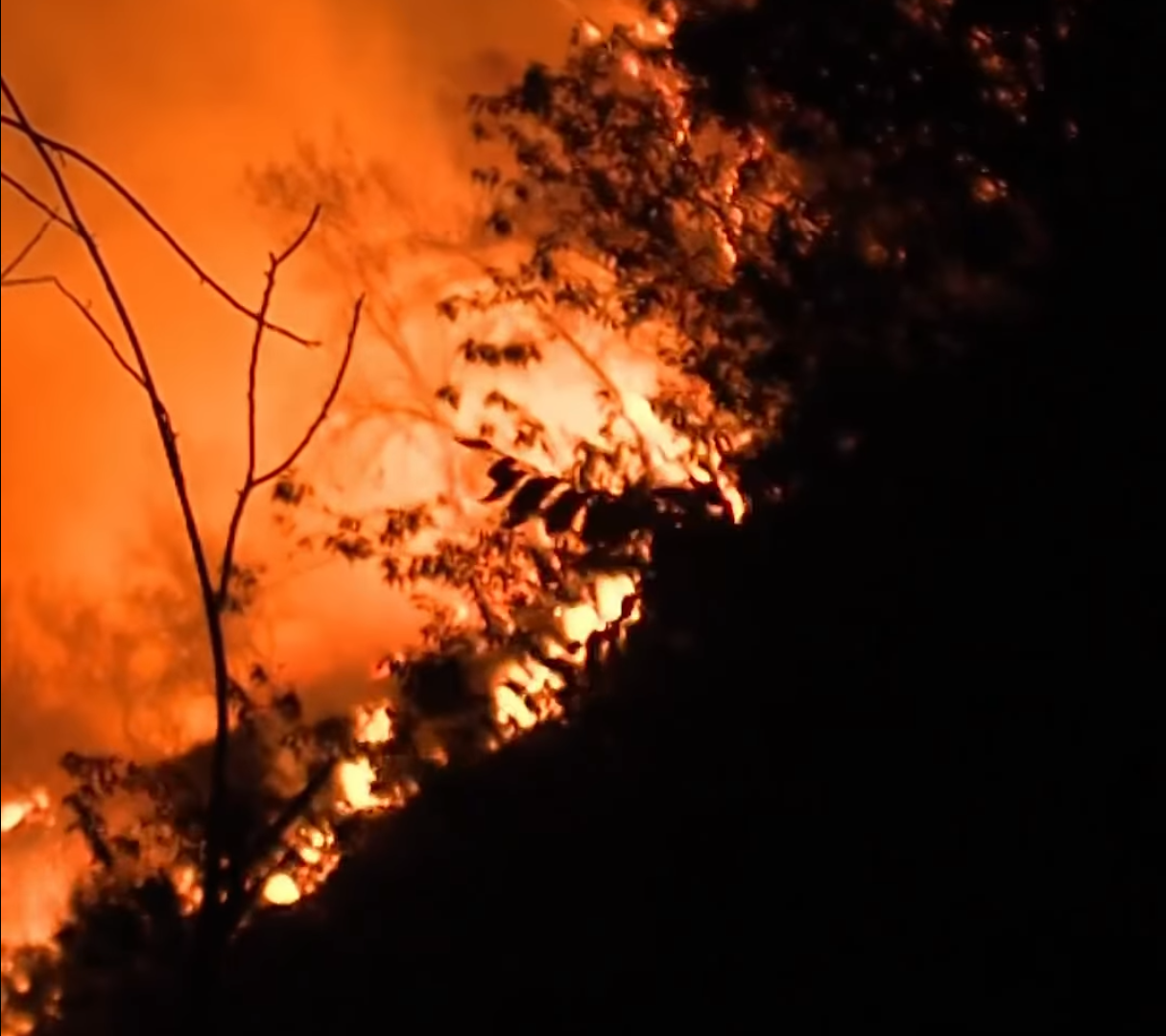 Campaign cover for Utah Conservation Corps Fire Relief