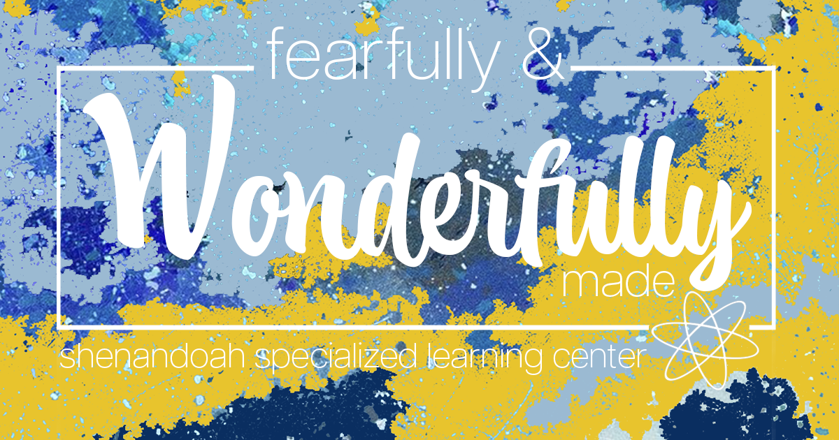 Campaign cover image for Shenandoah SLC Giving Campaign