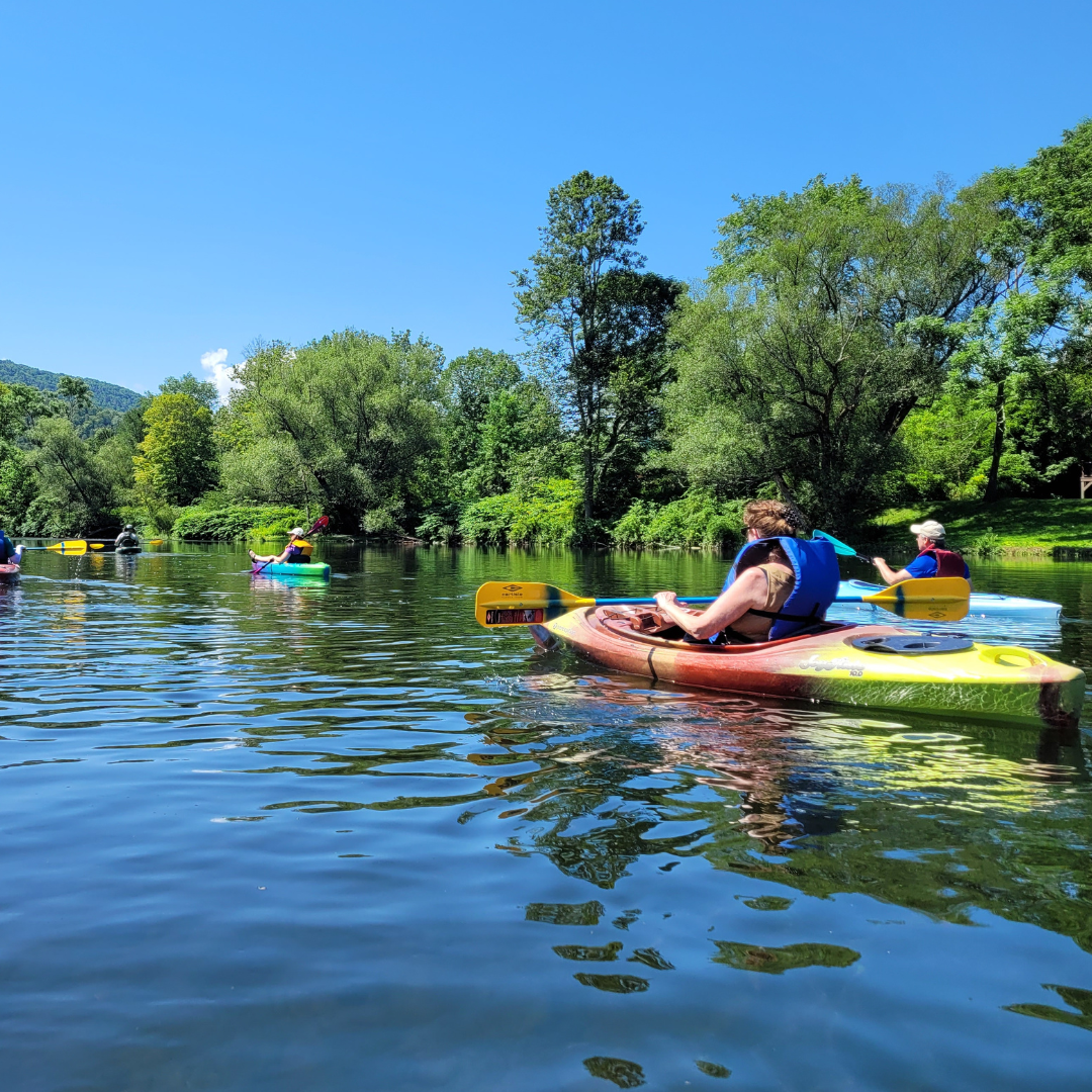 Campaign cover image for iSPY Invasive Species Paddle with CRISP & OCCA