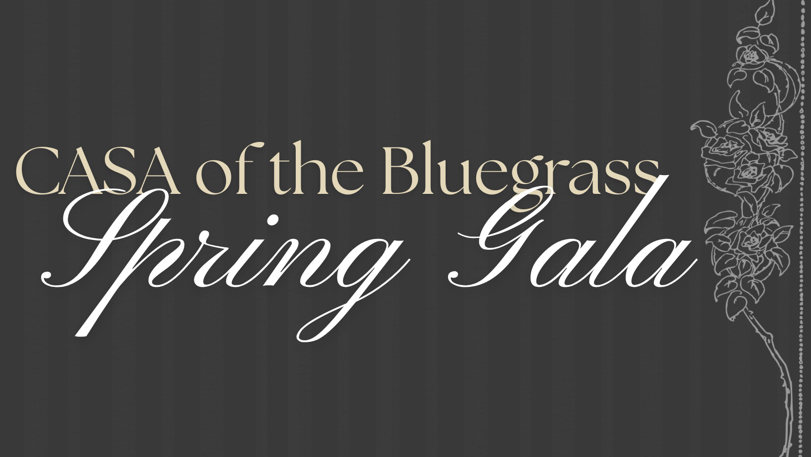 Campaign cover image for 2026 Spring Gala