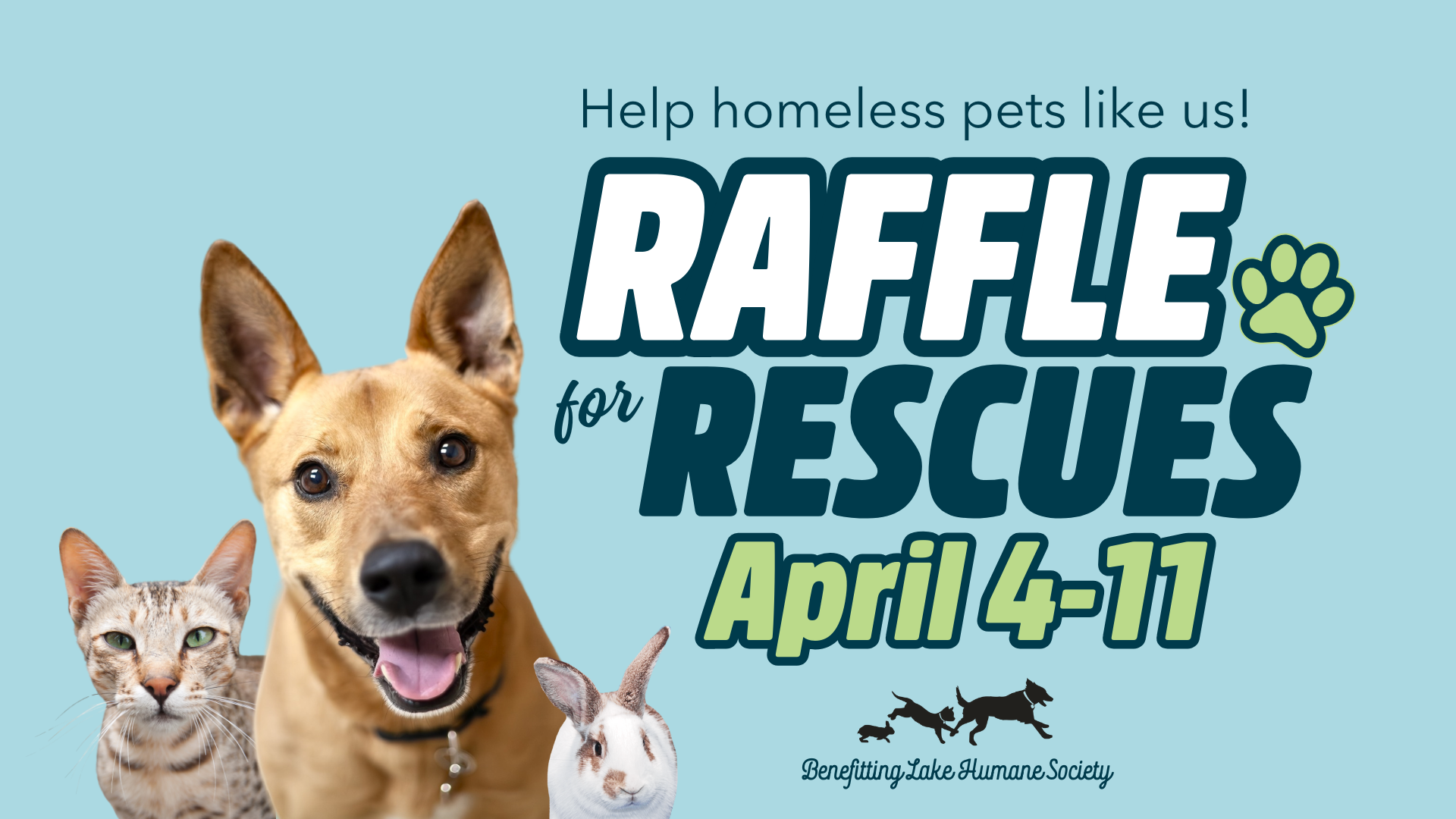 Campaign cover image for Raffle for Rescues