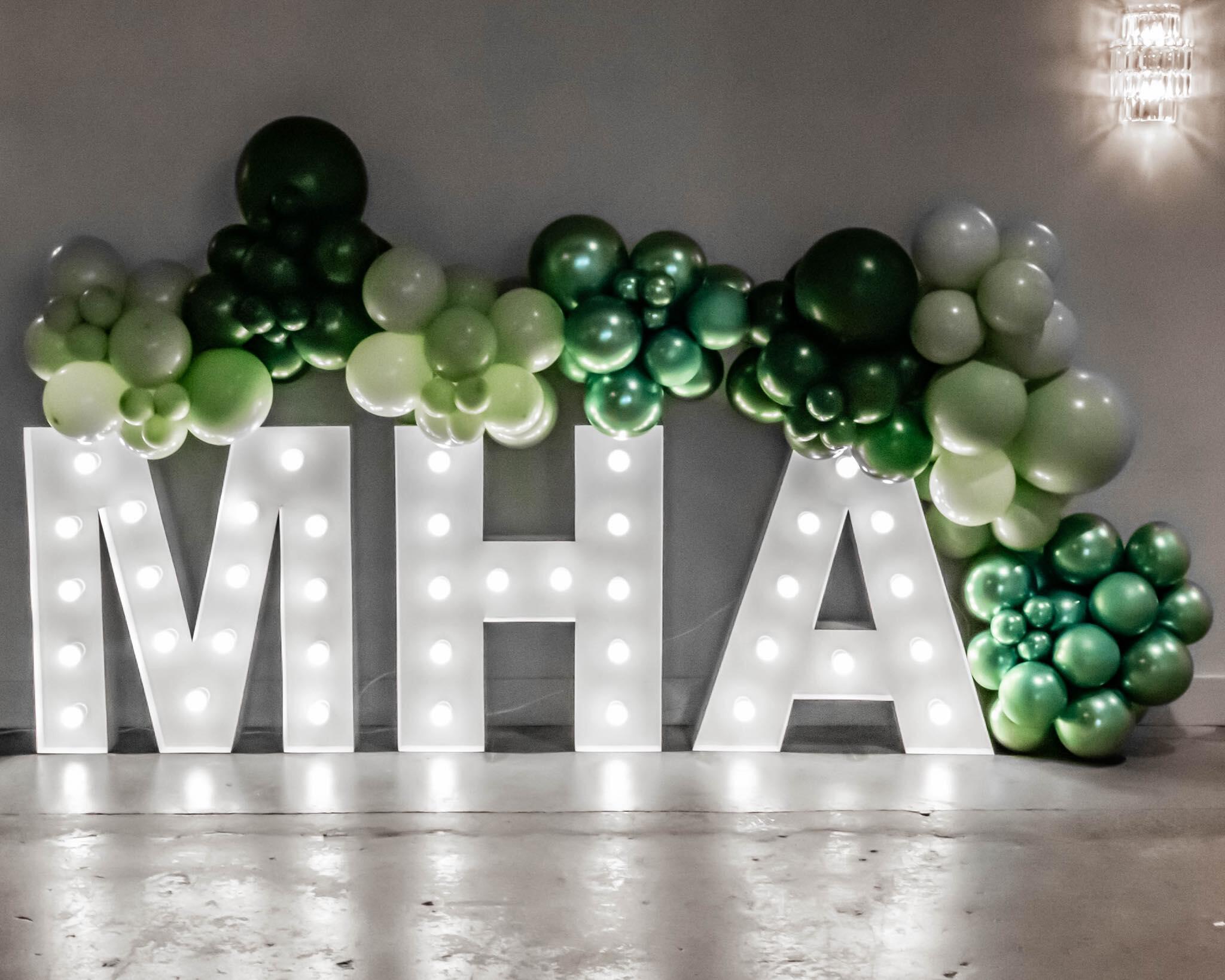 Campaign cover image for In The Limelight Gala was a success!