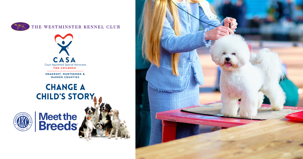 Campaign cover image for Unleash the Fun: Win Tickets to the AKC  Meet the Breeds or the Westminster Dog Show!