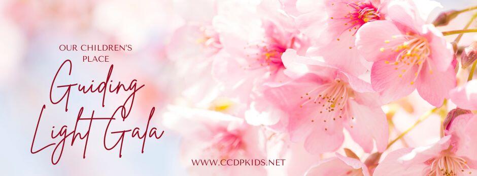 Campaign cover image for Our Children's Place Guiding Light Gala