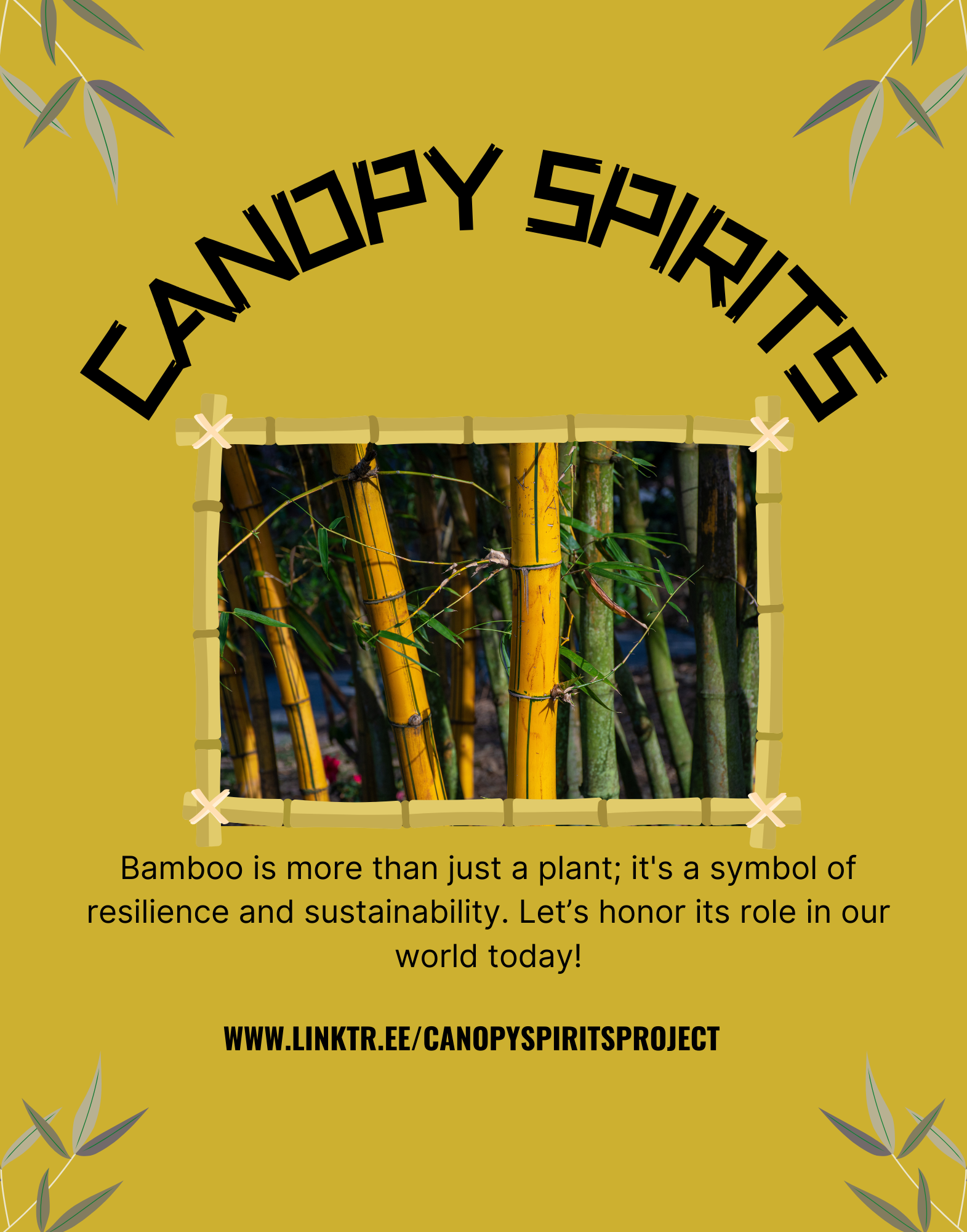 Campaign cover image for Canopy Spirits Fund Development