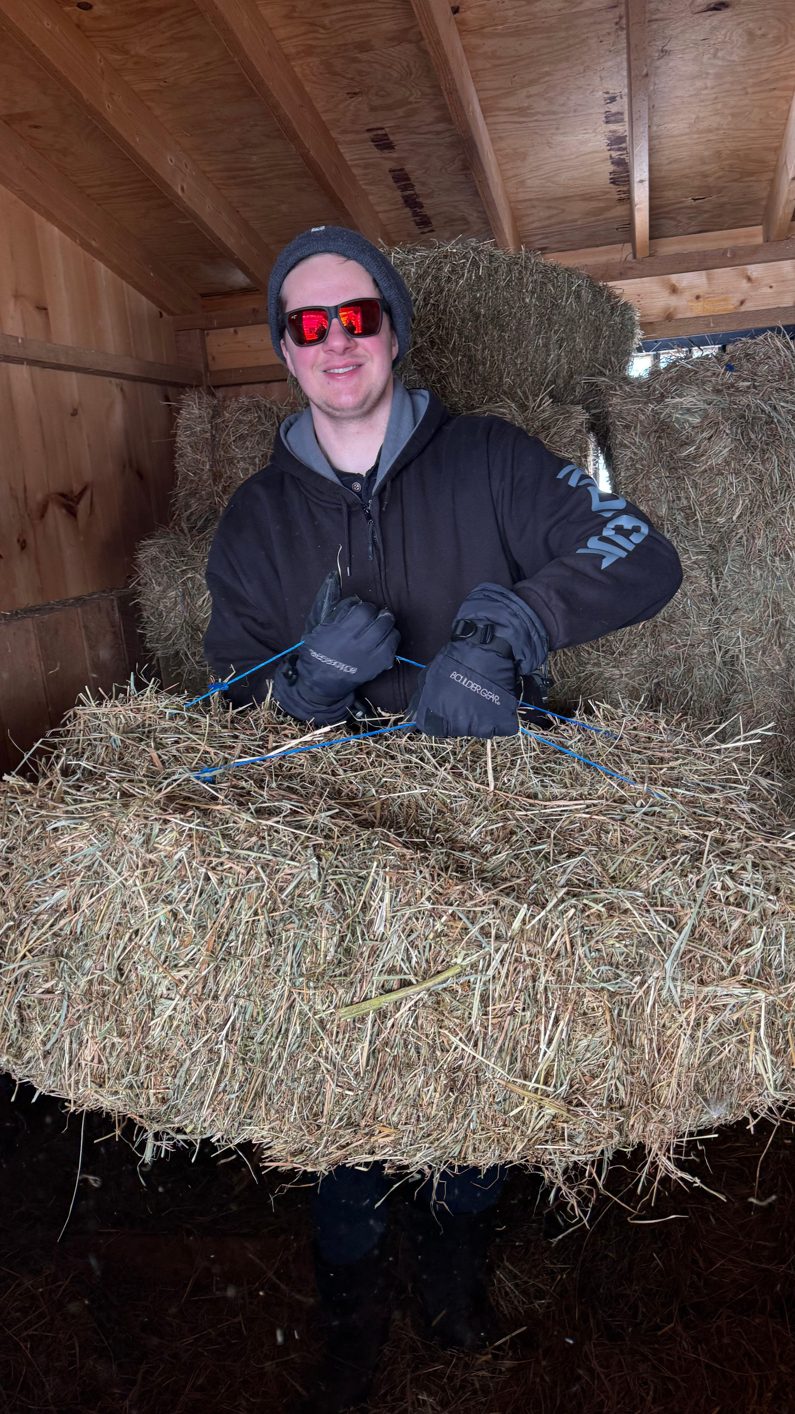 Campaign cover image for Fill the Barn: The Hay Security Fund