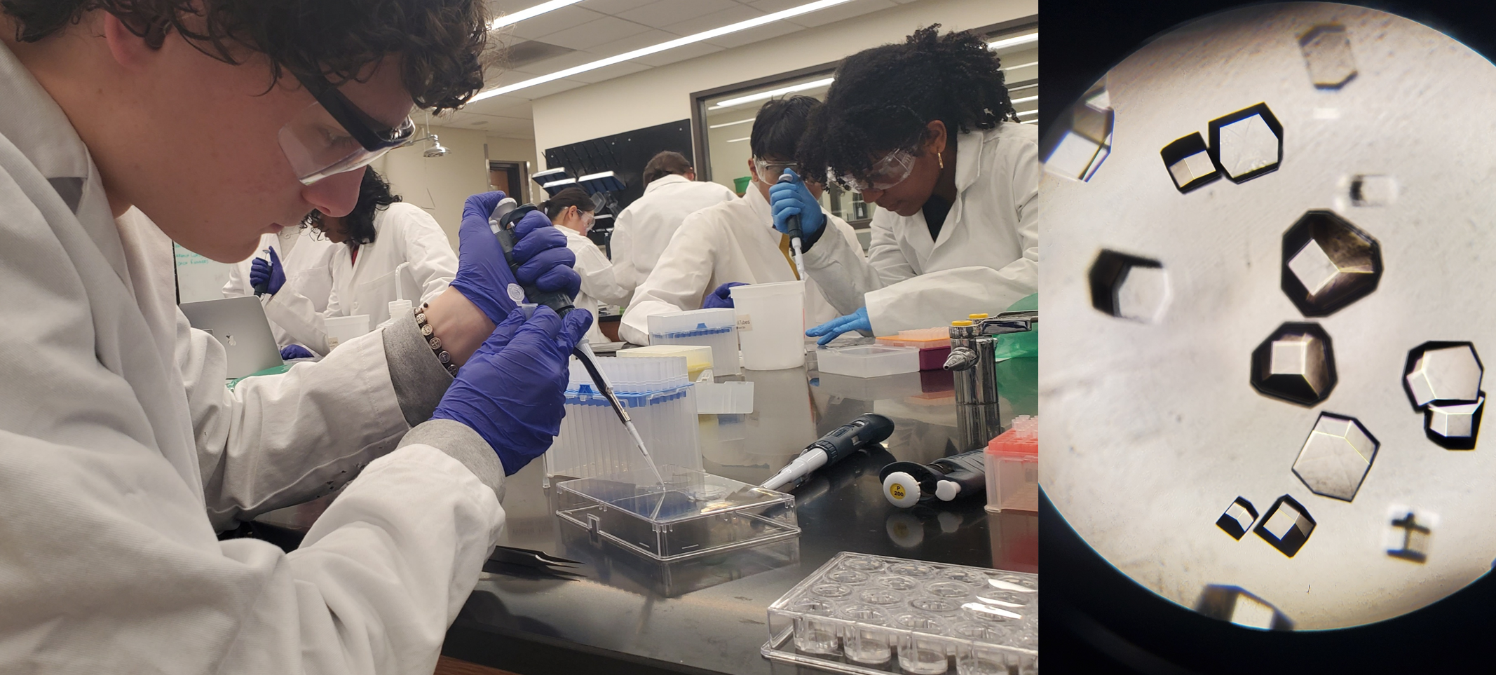 Campaign cover image for Help 200 students experience hands-on crystallography