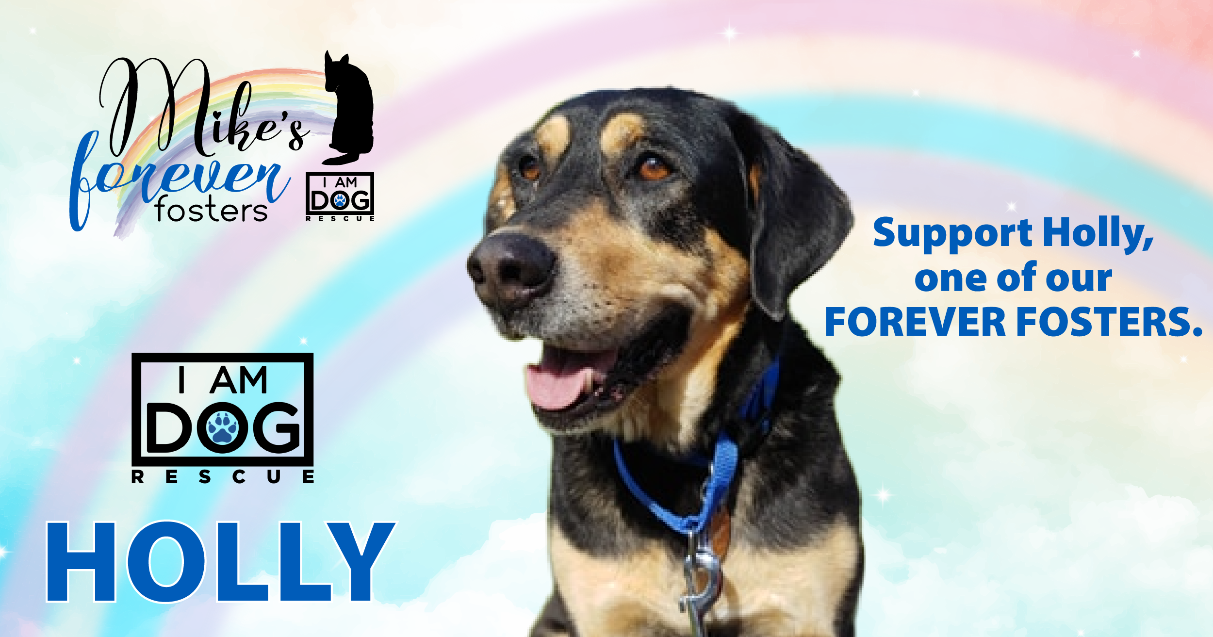 Campaign cover image for Donate for Forever Foster Holly