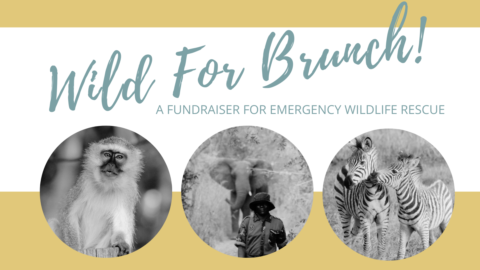 Campaign cover image for Join Us for Our 1st Annual "Wild for Brunch" Event!