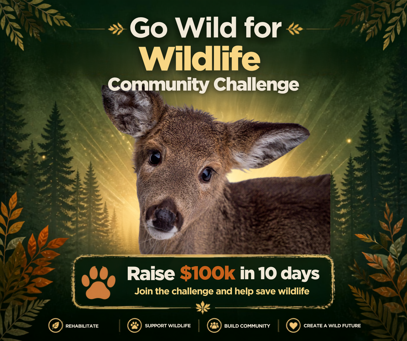 Campaign cover image for Go Wild For Wildlife 2026