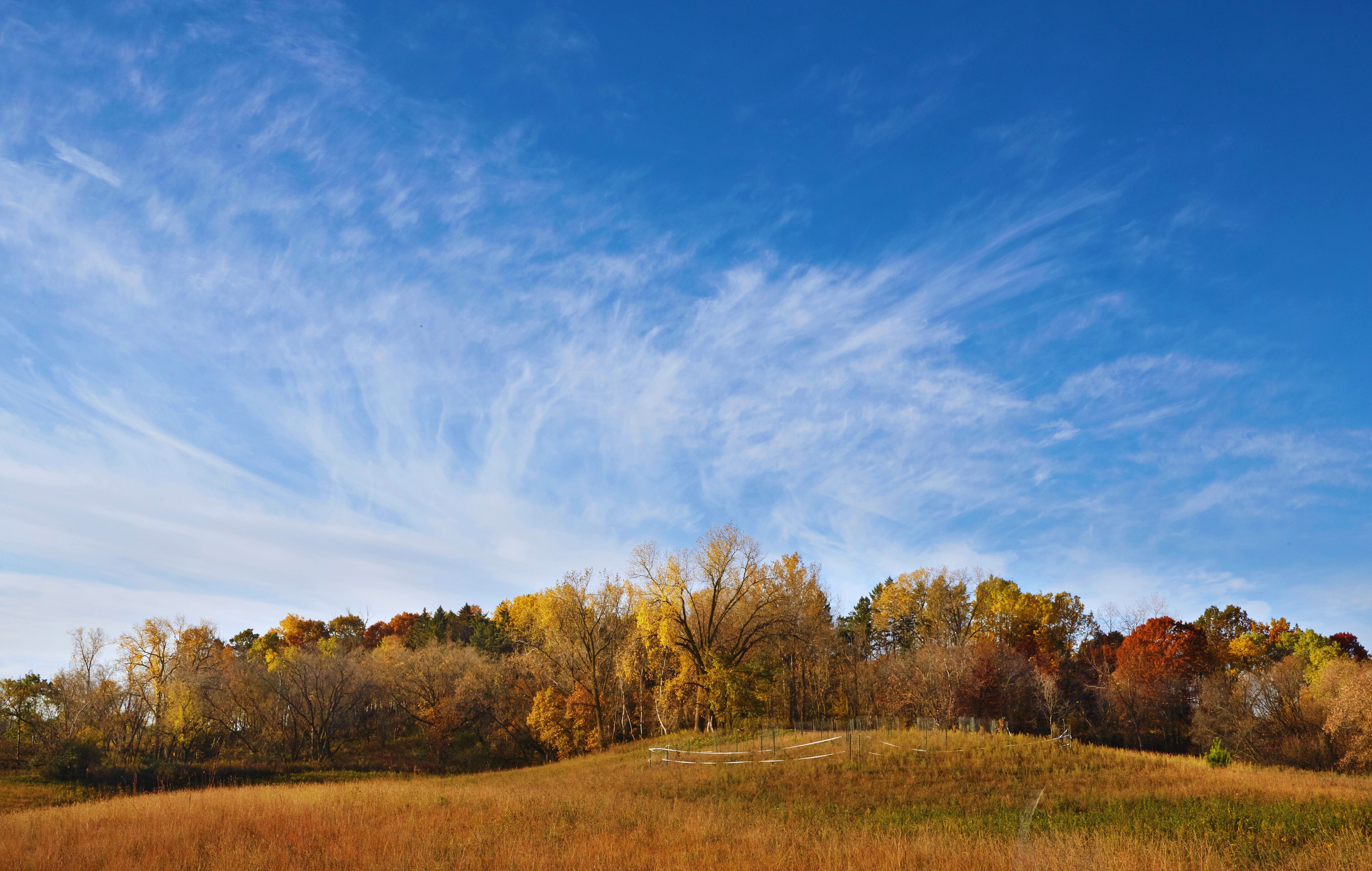 Campaign cover image for reGREEN Minnesota 2025