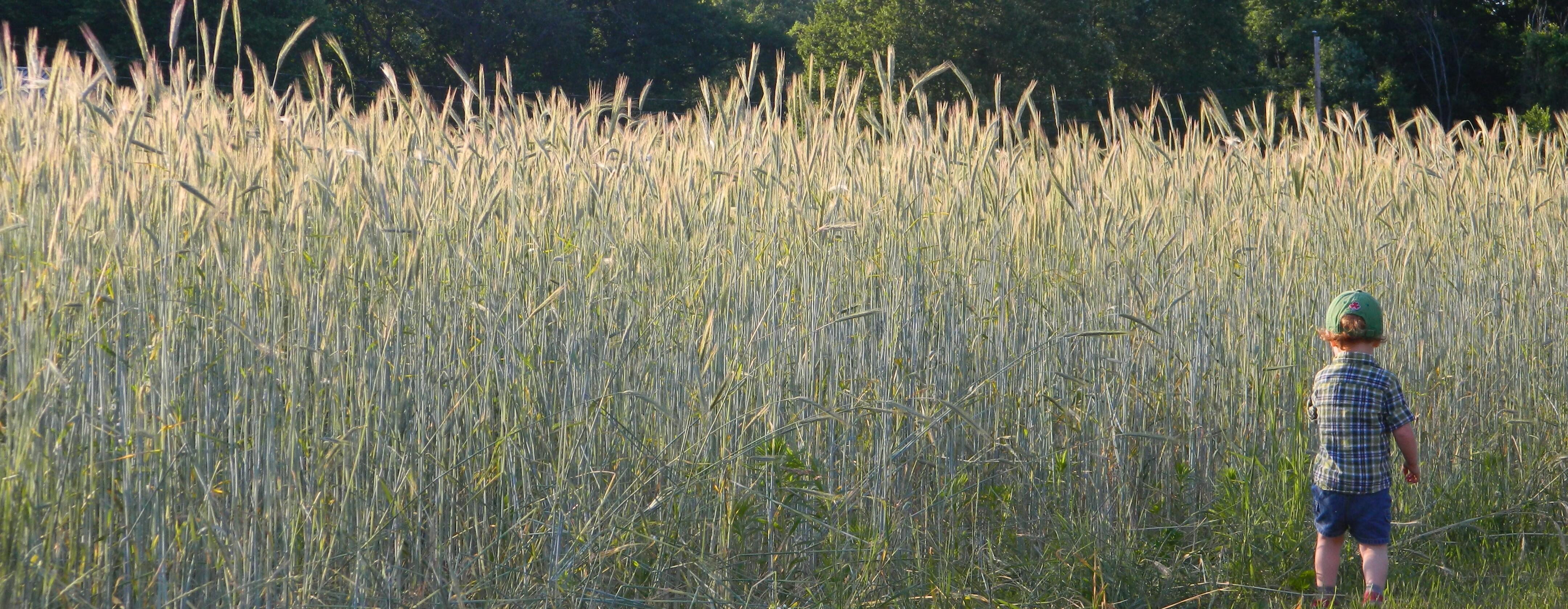 Campaign cover image for Mount Grace - Giving Tuesday 2025