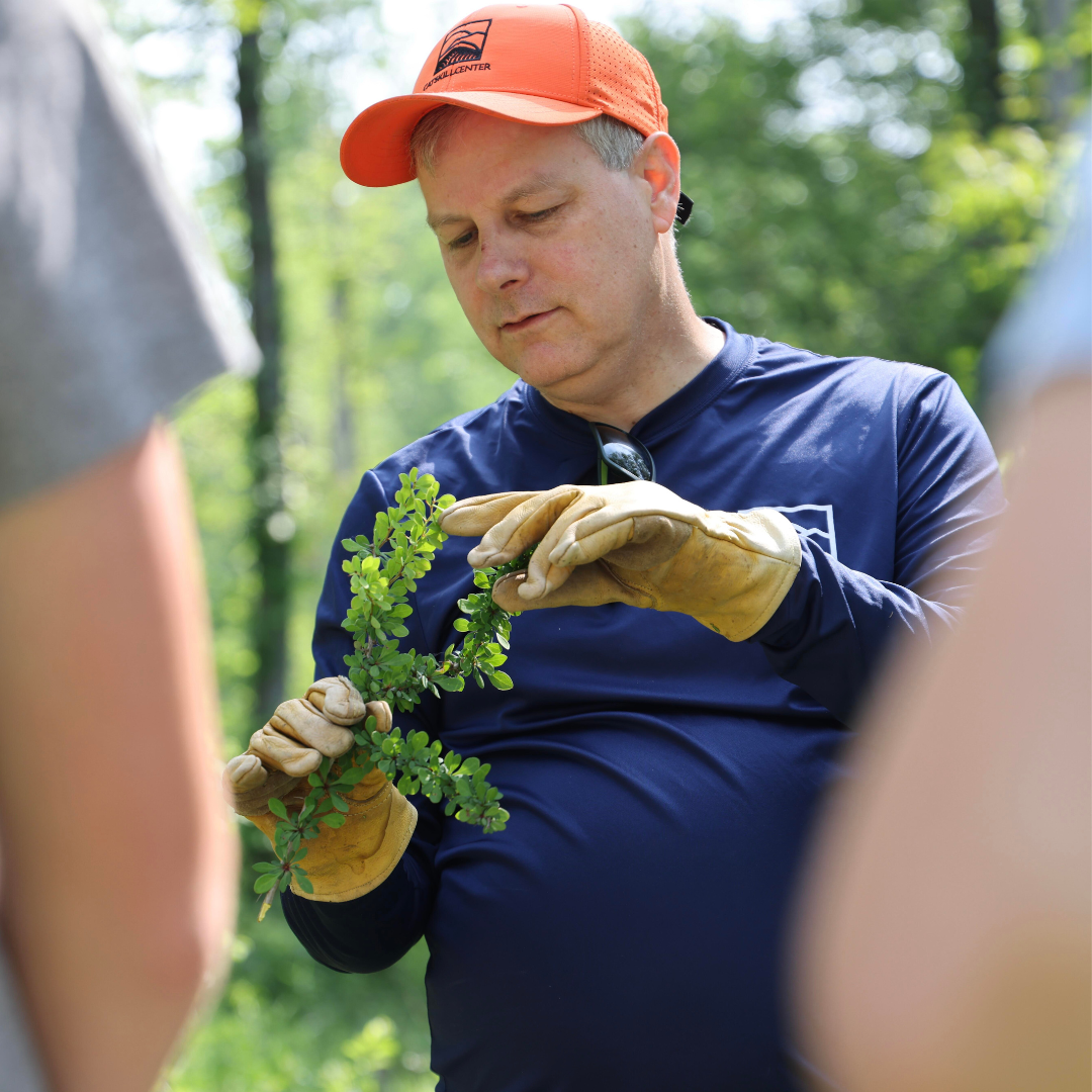 Campaign cover image for Part two: Be Part of the Solution: iMapInvasives Training at the Catskills Visitor Center