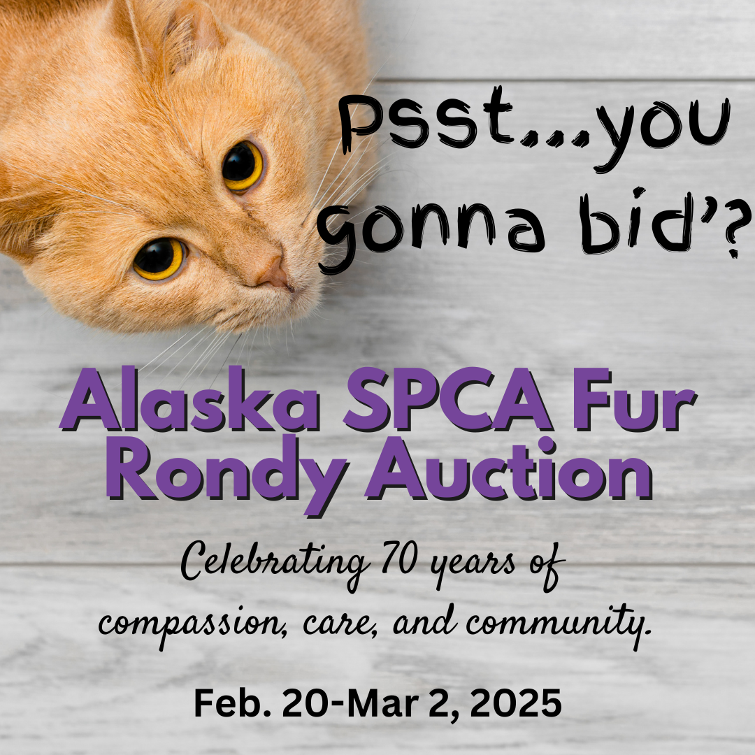 Campaign cover image for Alaska SPCA 2025 Fur Rondy Auction