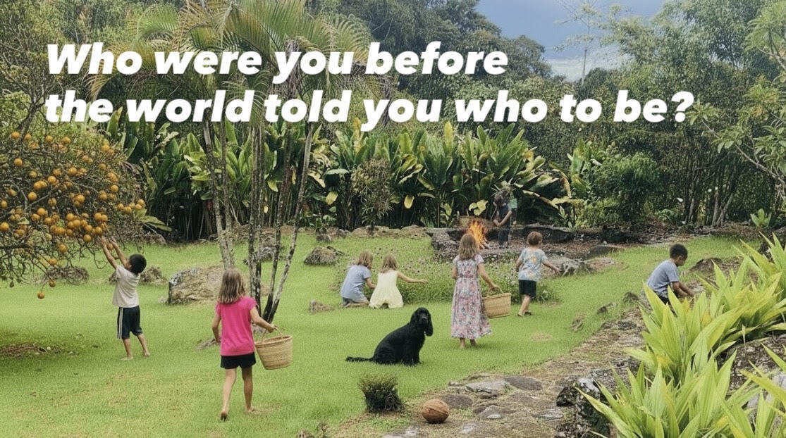 Campaign cover image for Colectiva Wild Haven