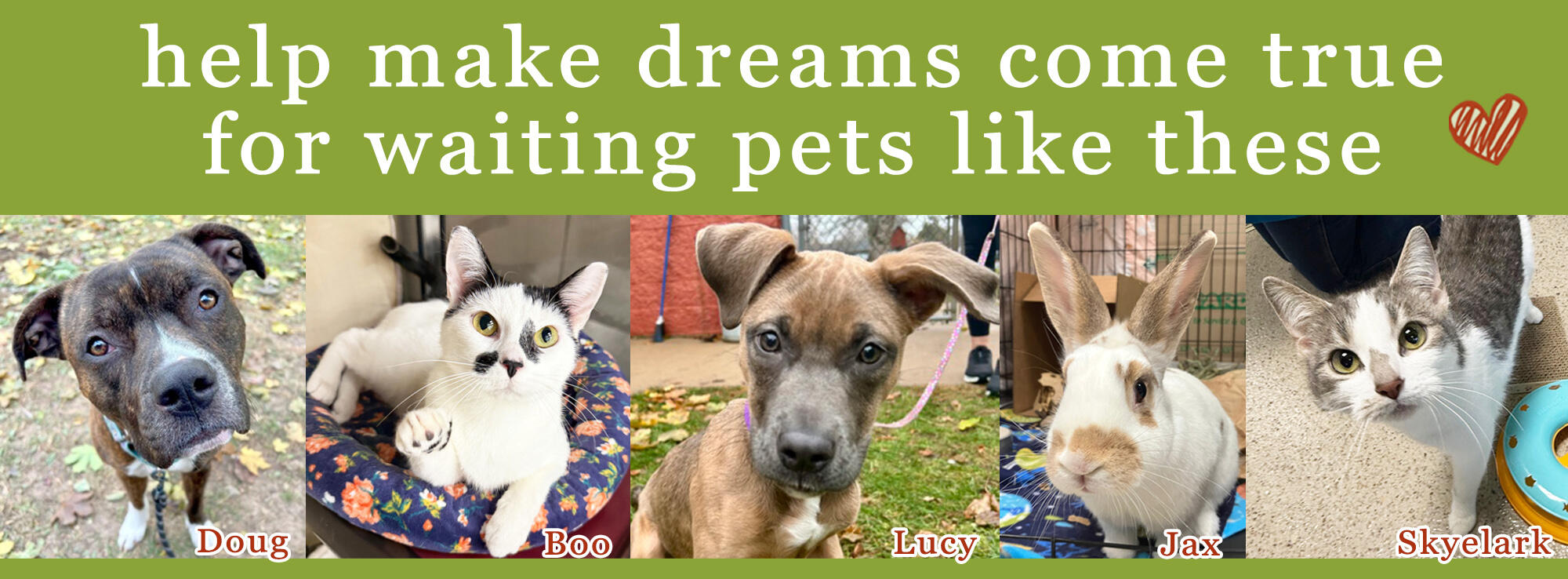 Campaign cover image for Giving Tuesday 2025