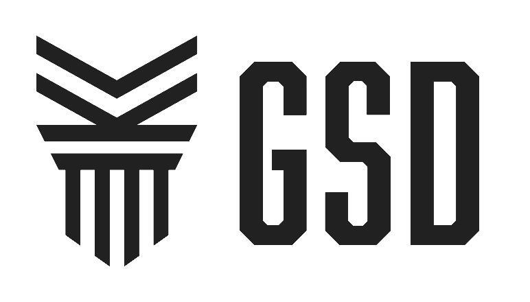 Jewish Self Defense | GSD