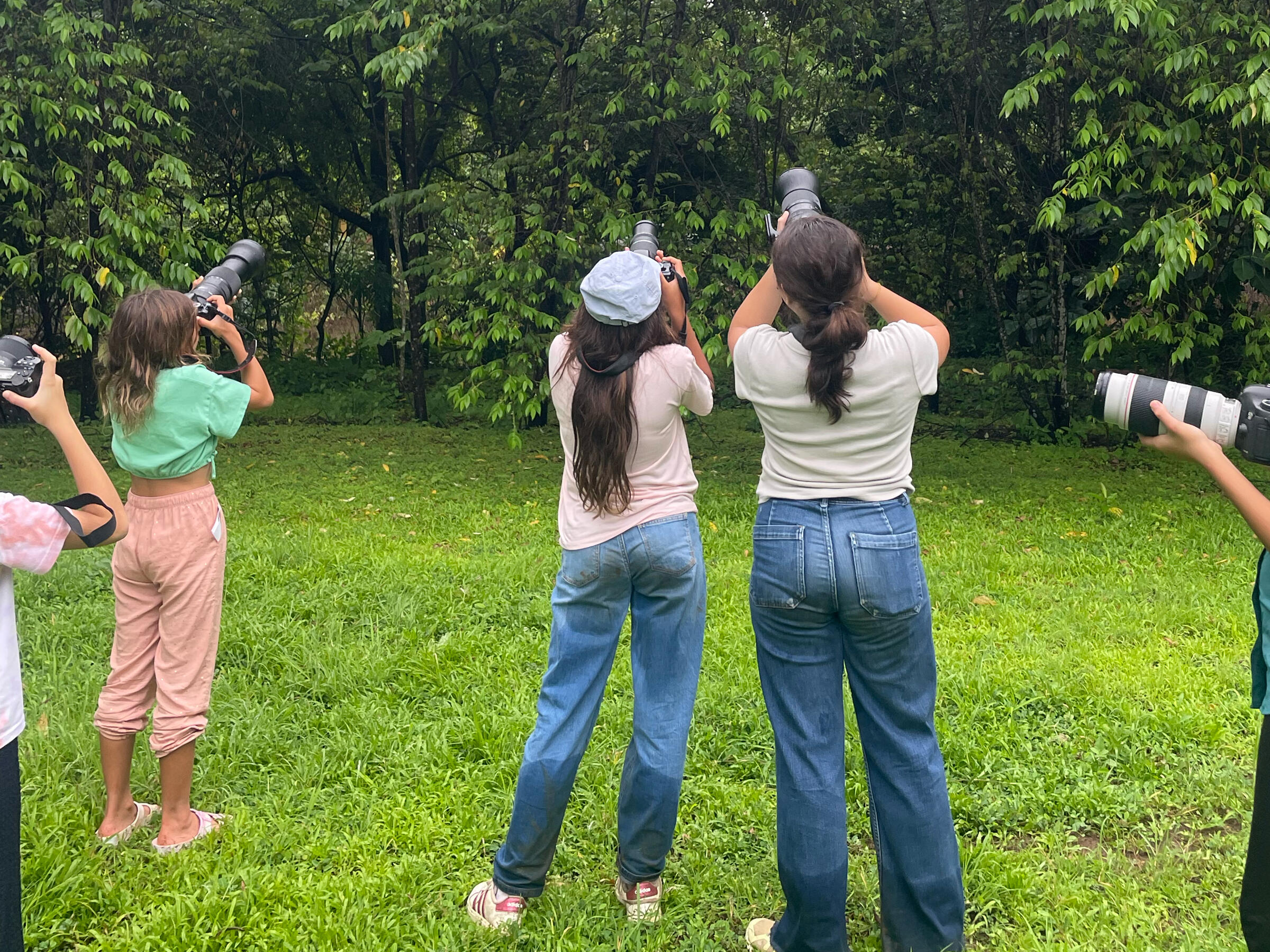 Campaign cover image for Endangered Monkey Conservation in Panama!