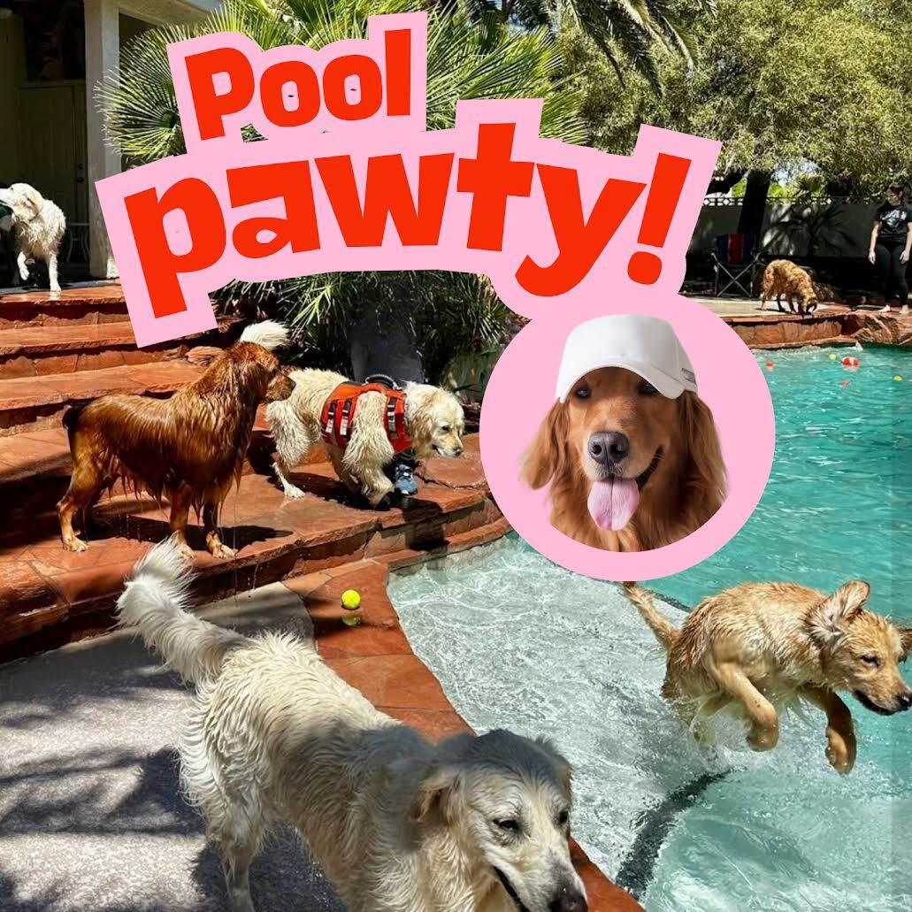 Campaign cover image for Pool Party and Shenanigans Extravaganza