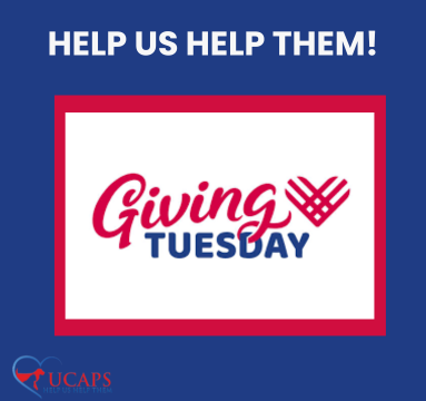 Campaign cover image for Giving Tuesday