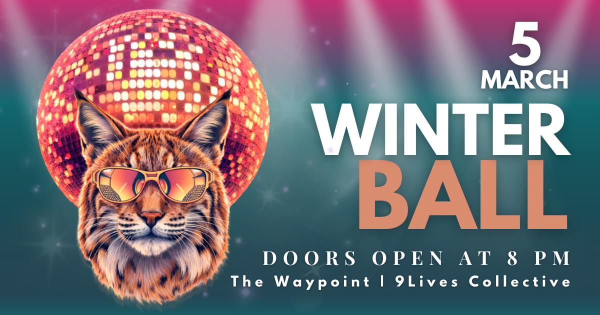 Campaign cover image for 2026 Big Sky Winter Ball