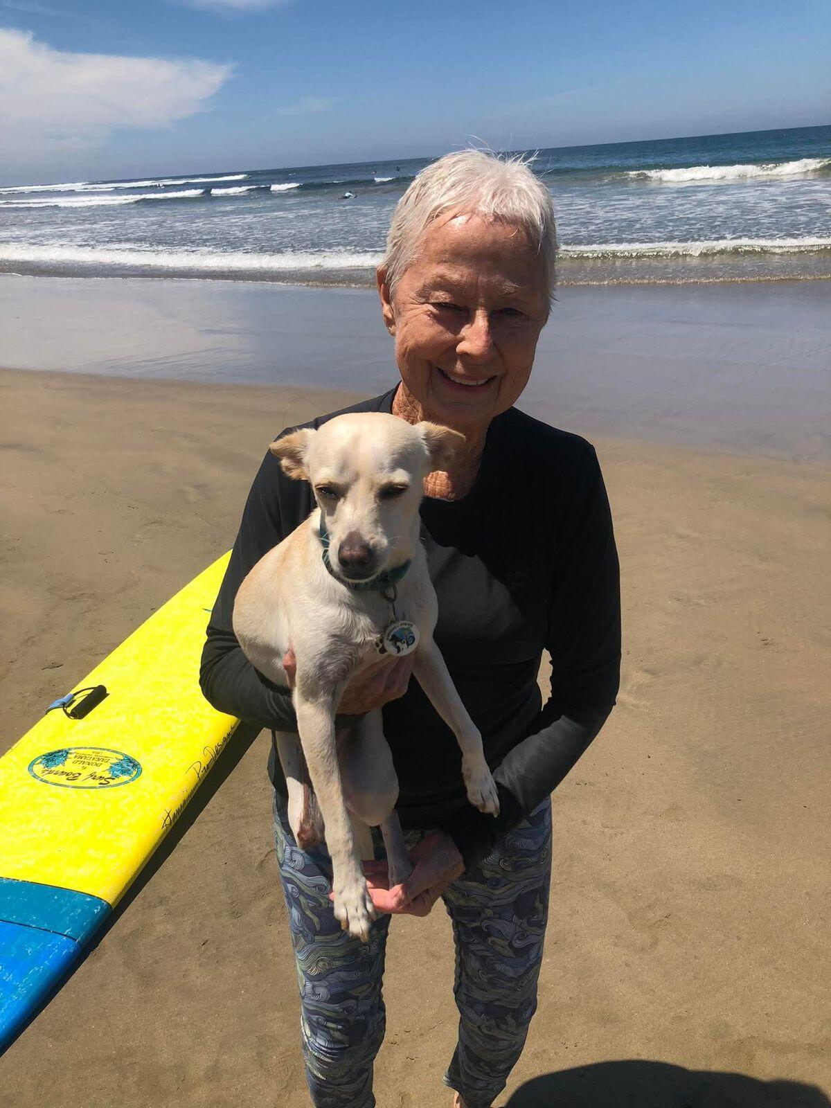 Campaign cover image for Surf Skate for Spay Auction