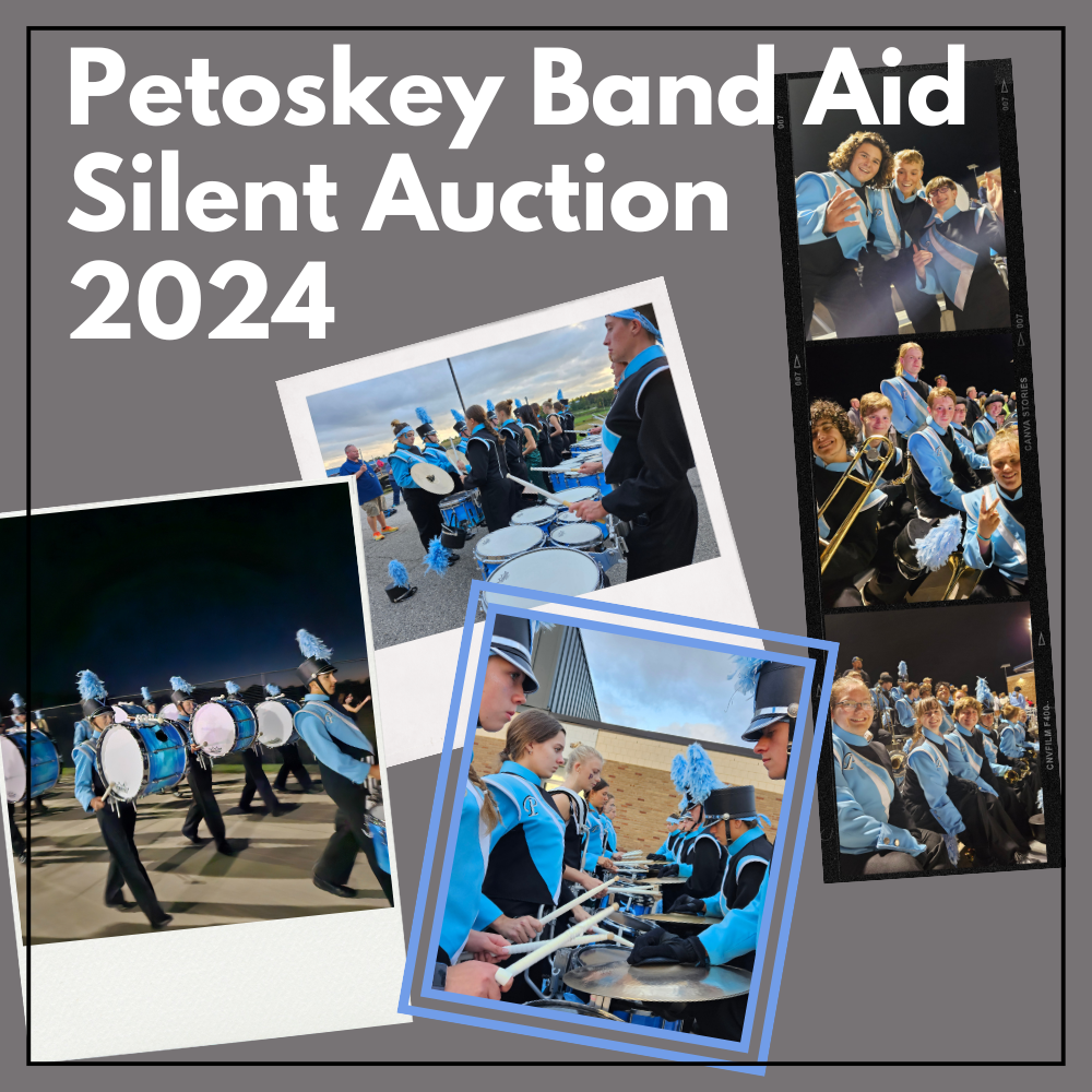 Campaign cover image for Band Aid Silent Auction 2024