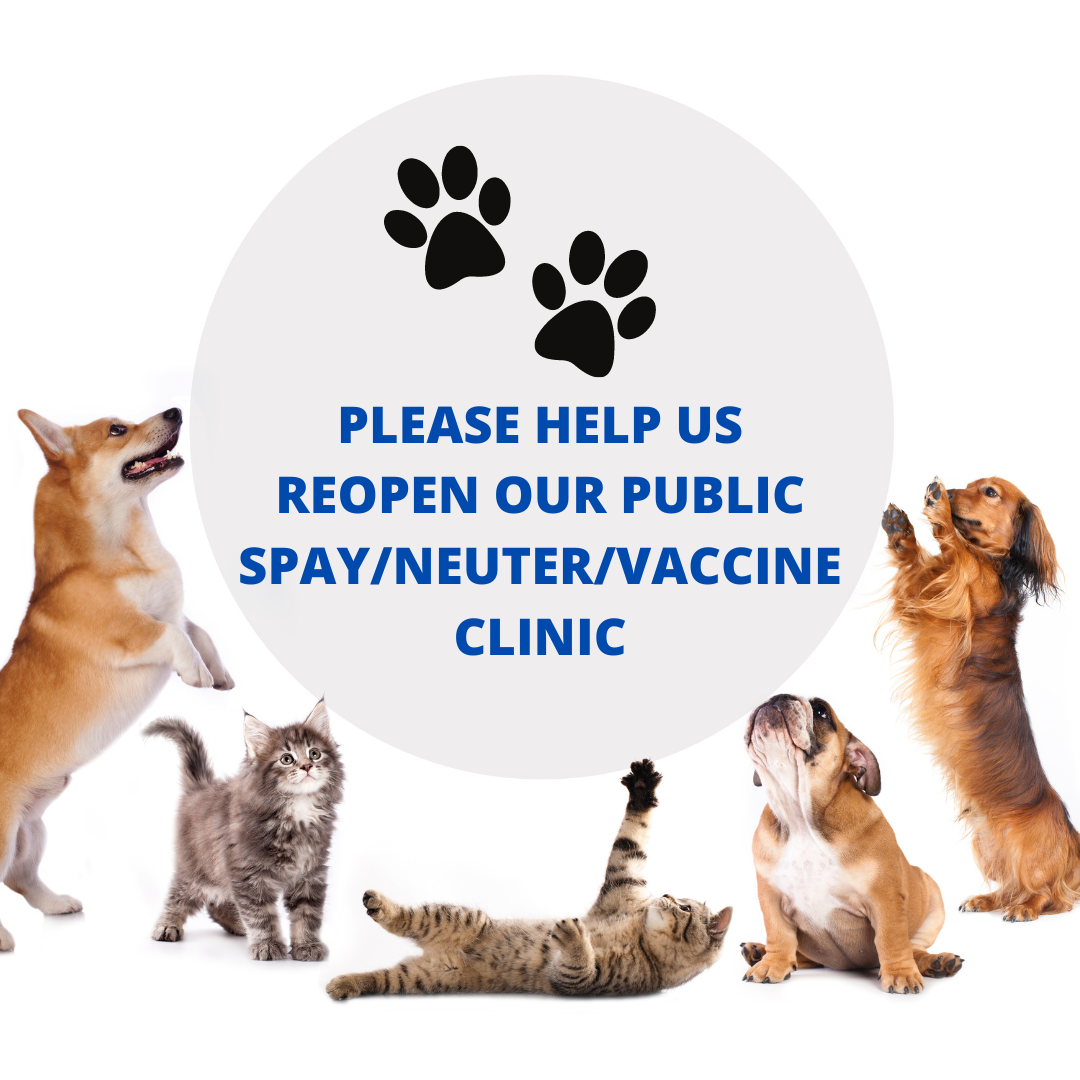 Please Help Our Animal Shelter Reopen Our Public Spay & Neuter Clinic