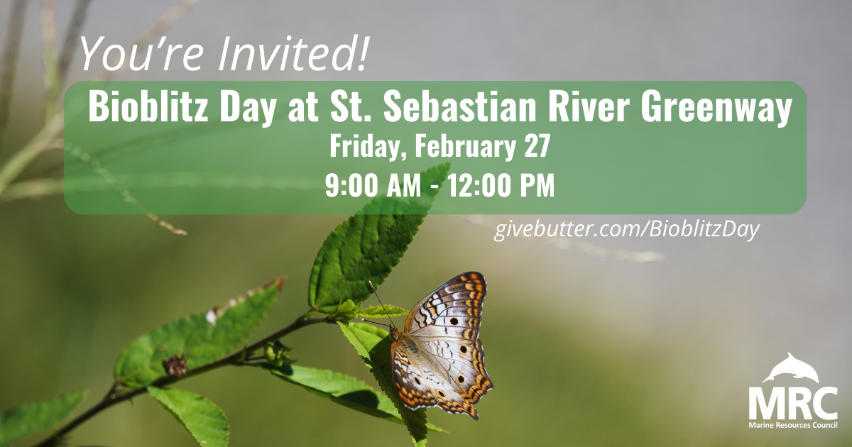 Campaign cover image for Bioblitz Day 2026