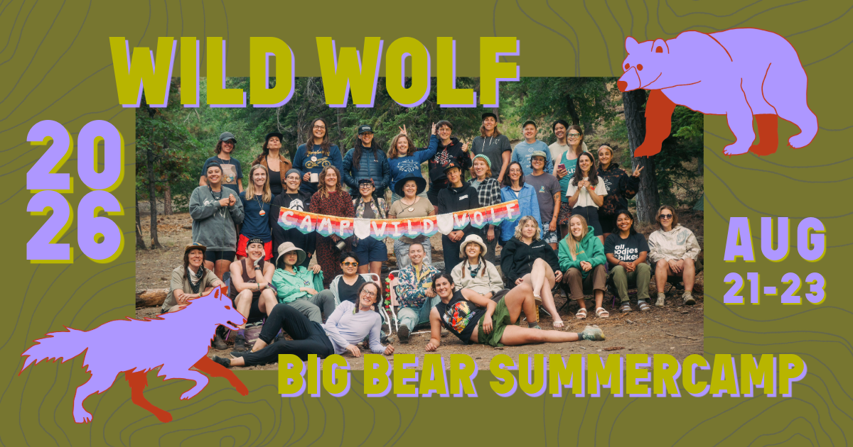 Campaign cover image for Wild Wolf's Annual Big Bear Summercamp 2026