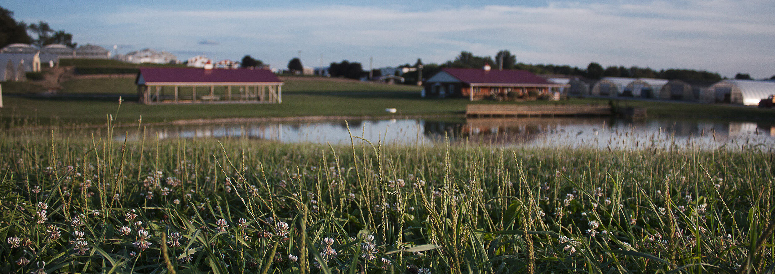 Campaign cover image for Live at the Lake